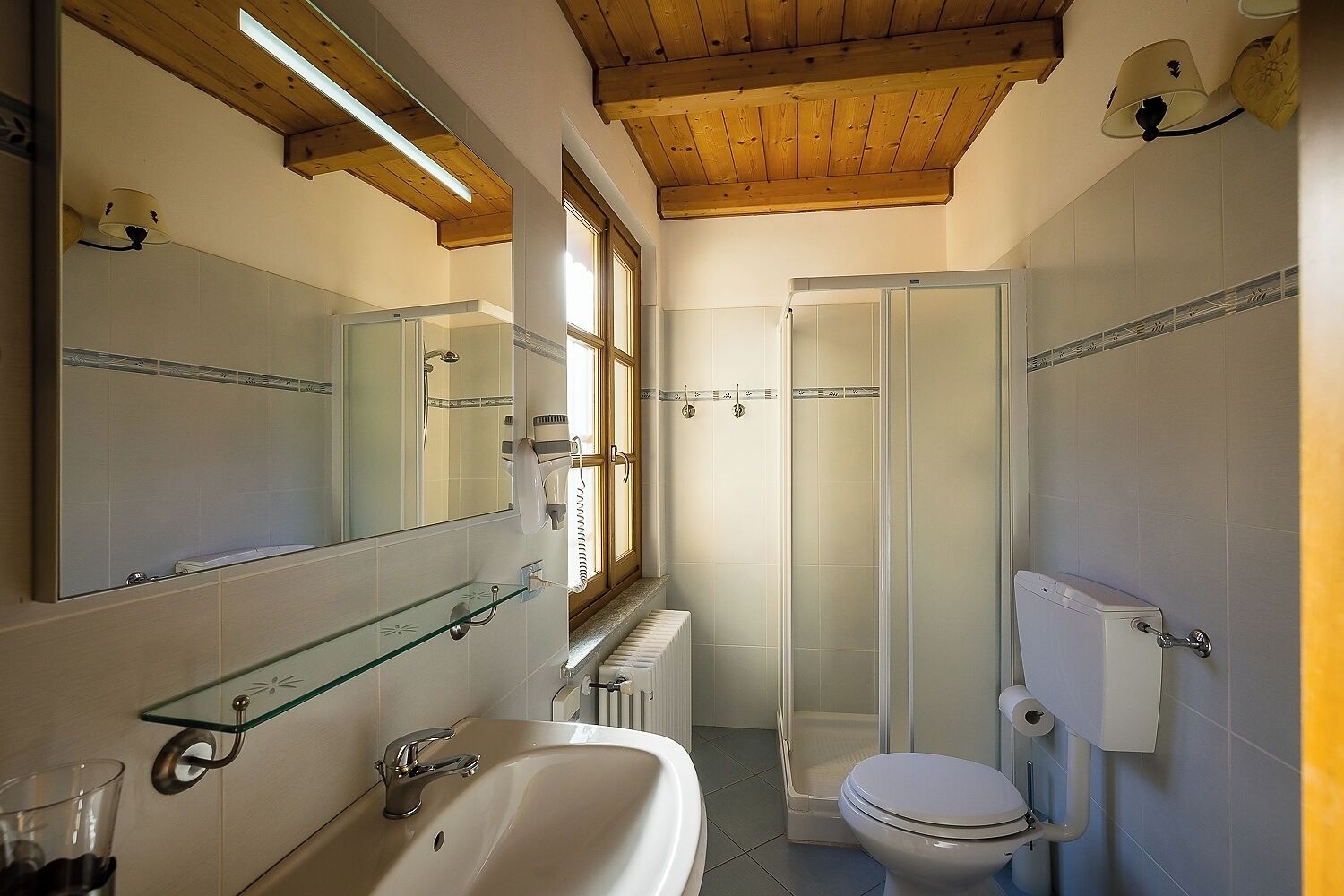 Mirtillo Alpino Casa Vacanze