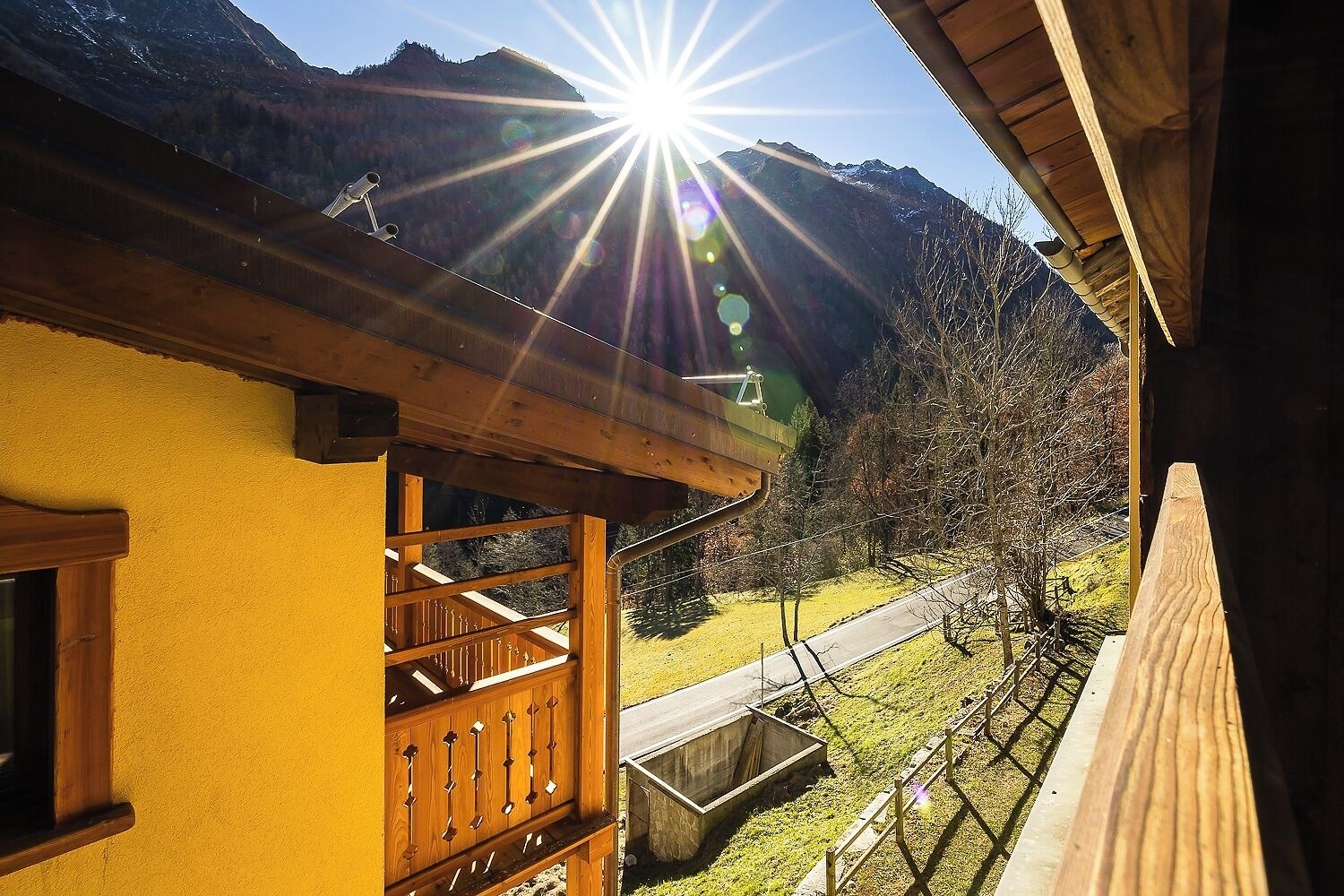 Mirtillo Alpino Casa Vacanze