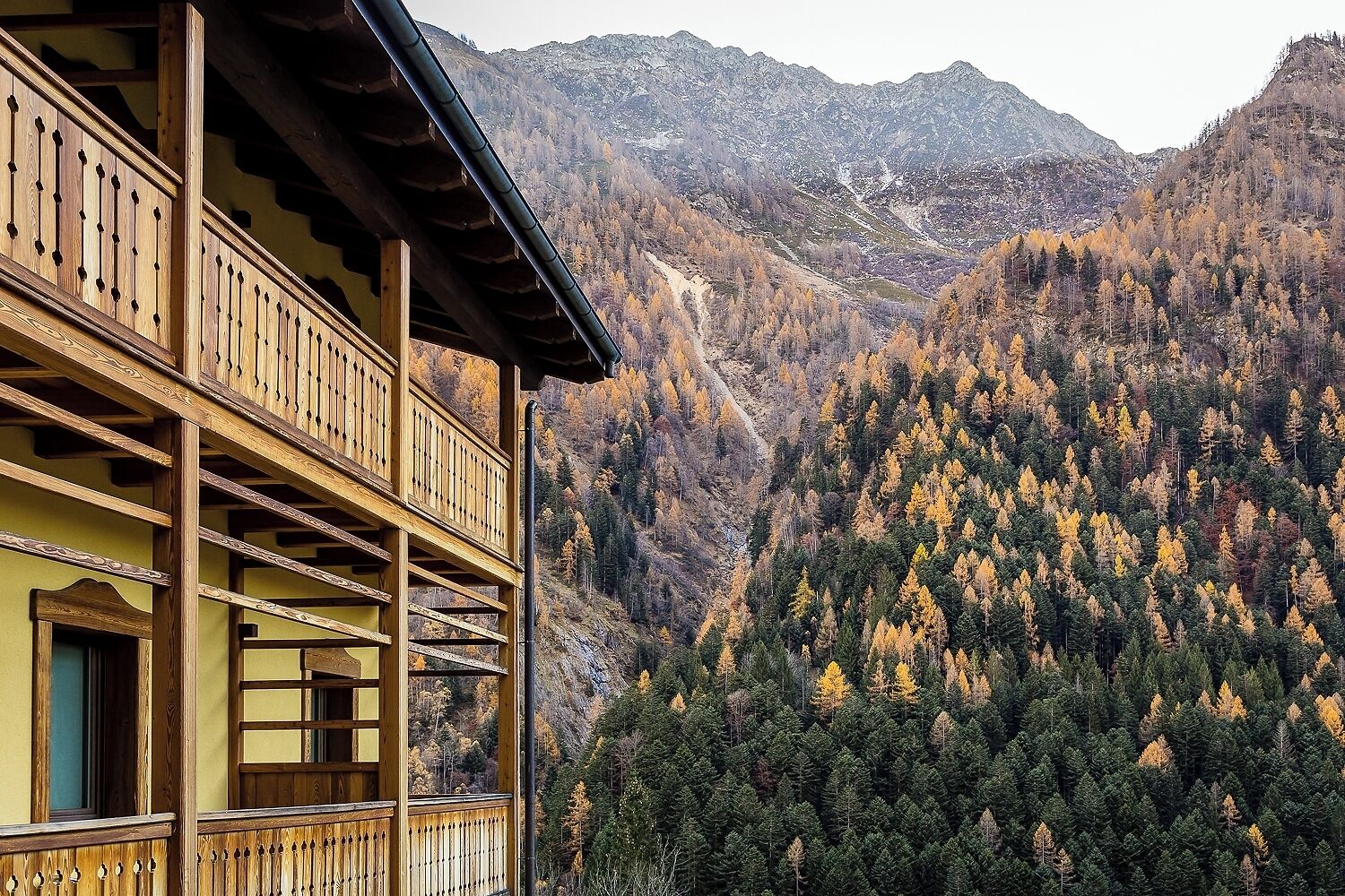 Mirtillo Alpino Casa Vacanze