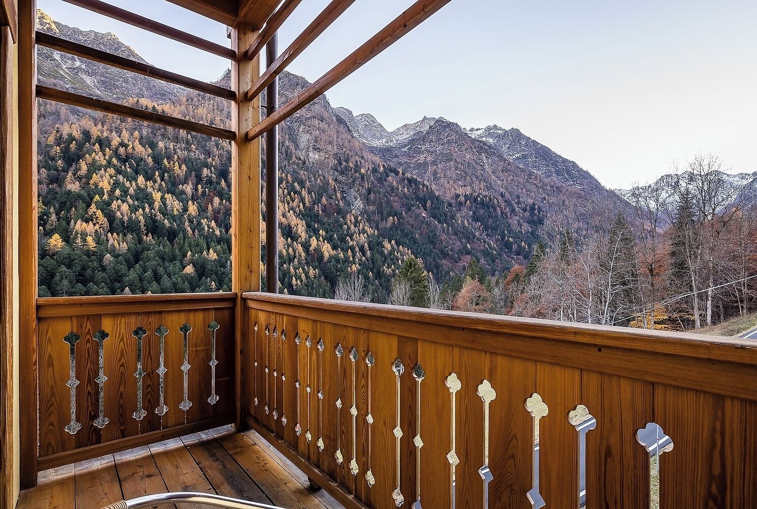 Mirtillo Alpino Casa Vacanze