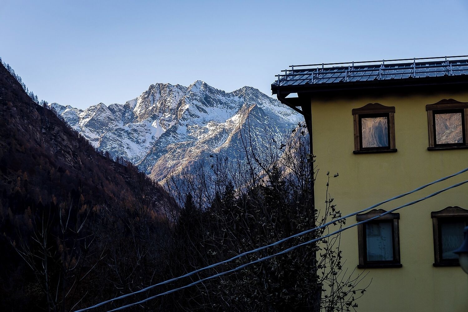 Mirtillo Alpino Casa Vacanze