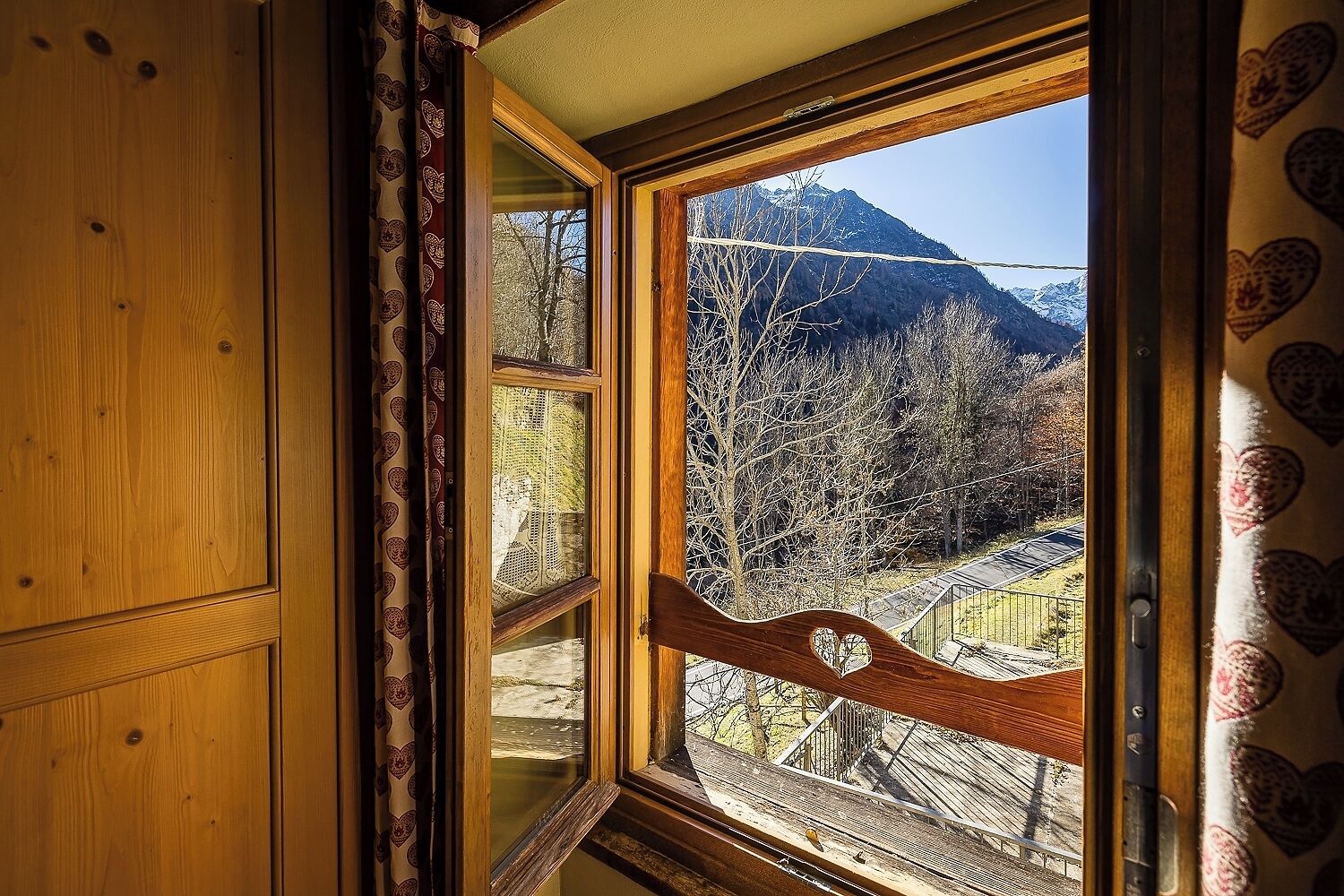 Mirtillo Alpino Casa Vacanze