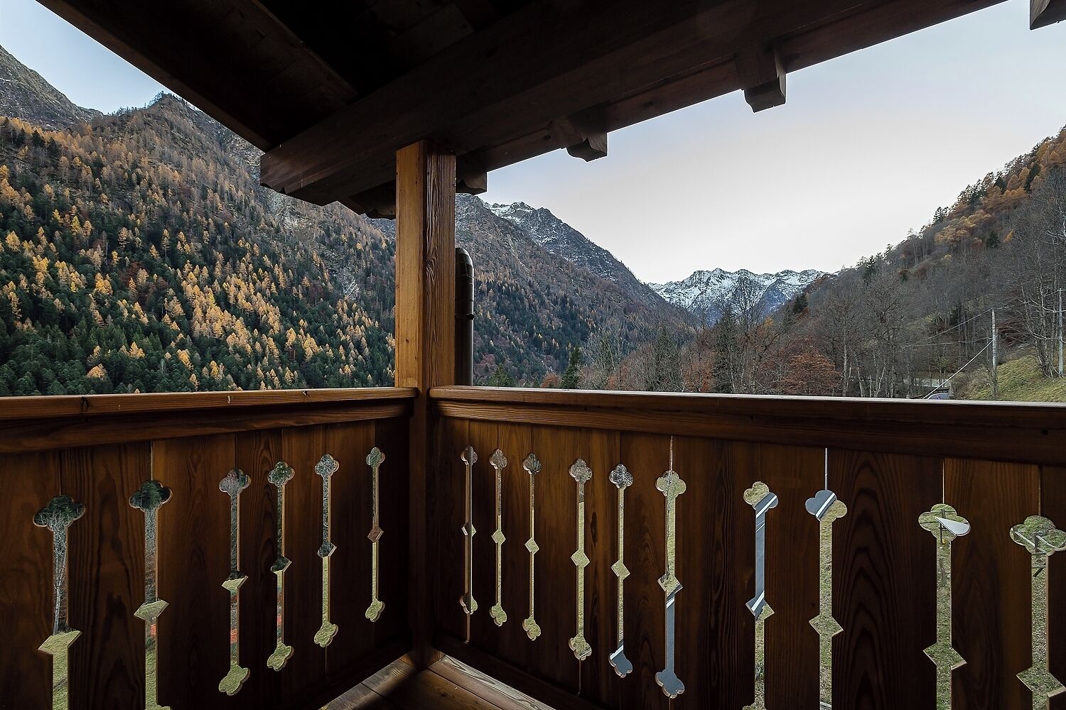 Mirtillo Alpino Casa Vacanze