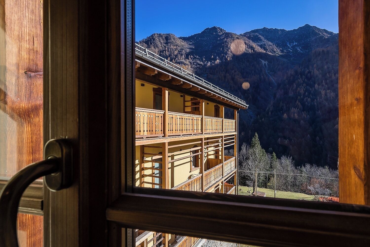 Mirtillo Alpino Casa Vacanze