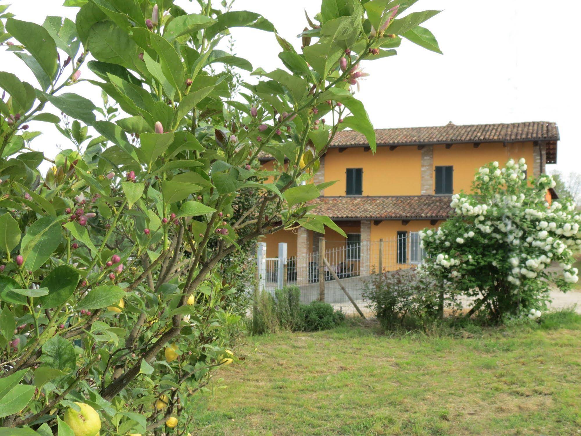 Residenza Albatros