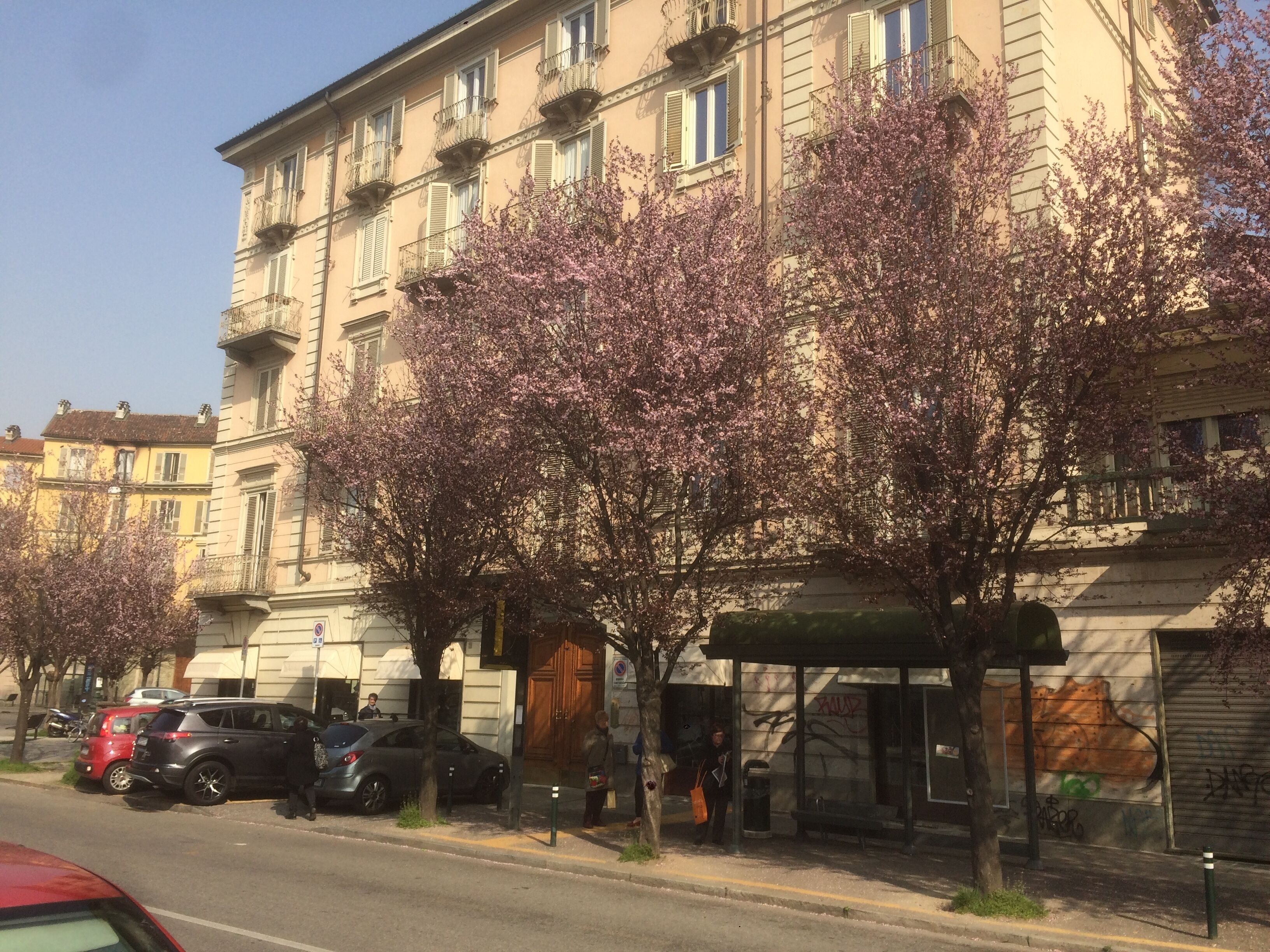 La Terrazza di Arturo