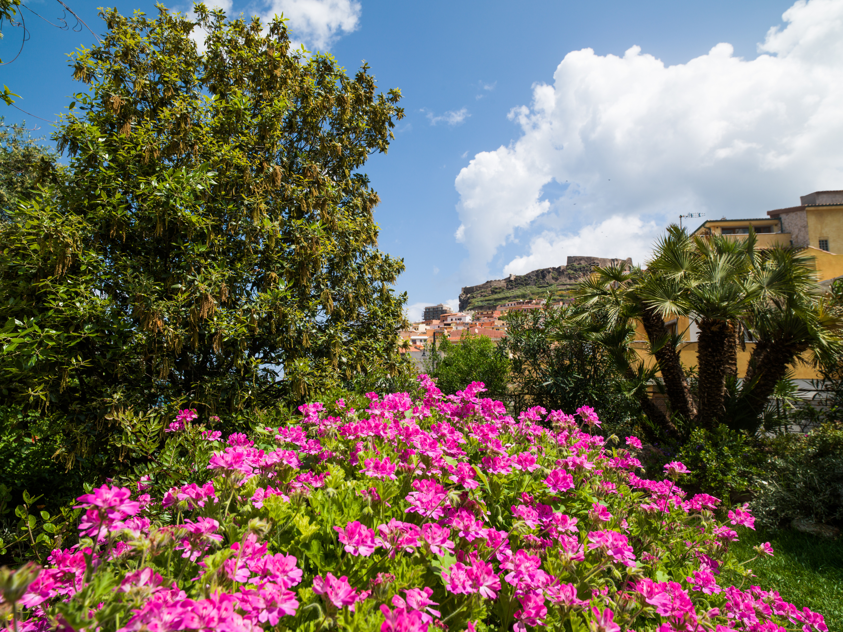 Hotel & Spa Riviera