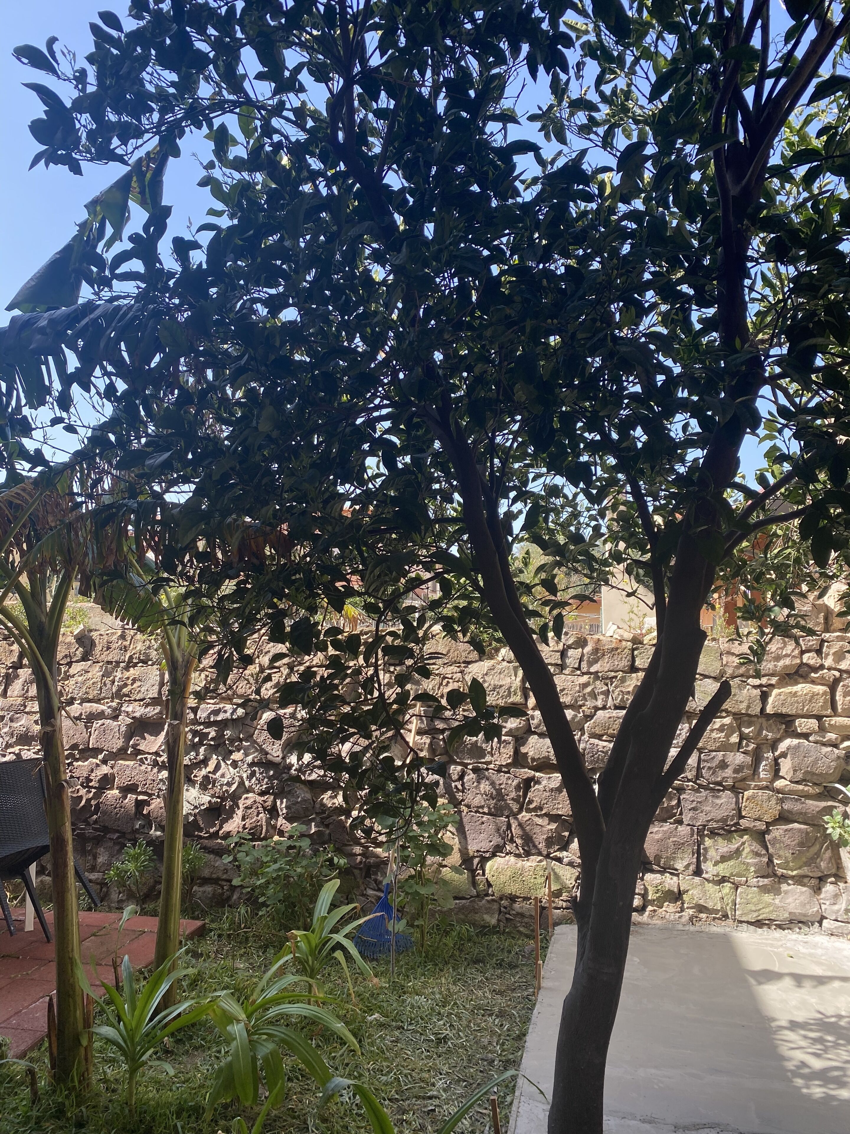 Concas Apartament
