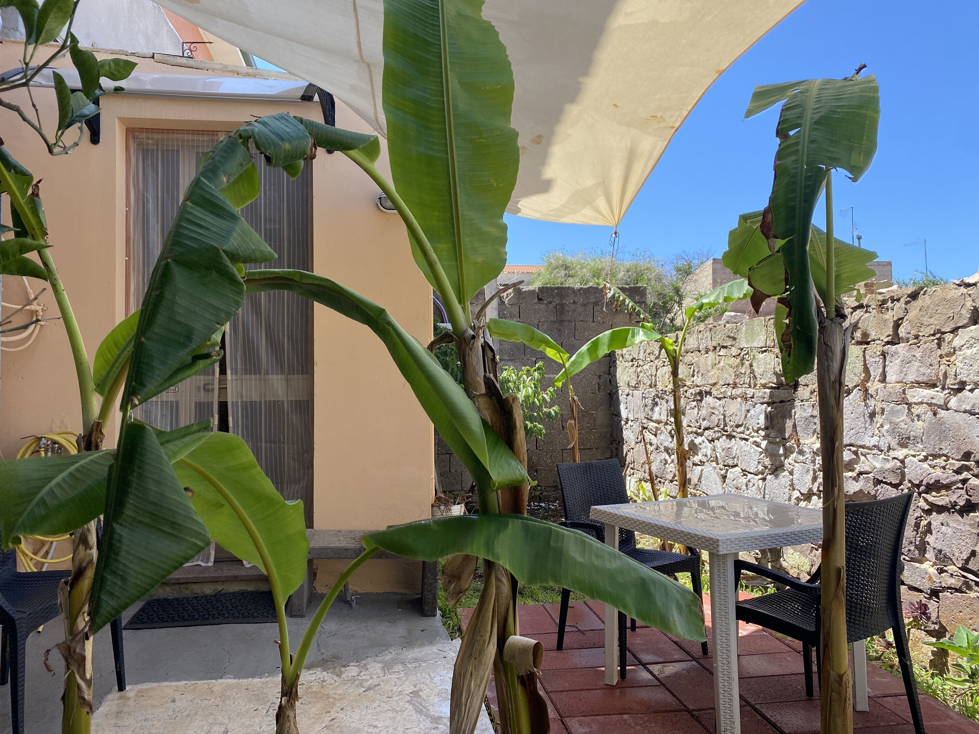 Concas Apartament