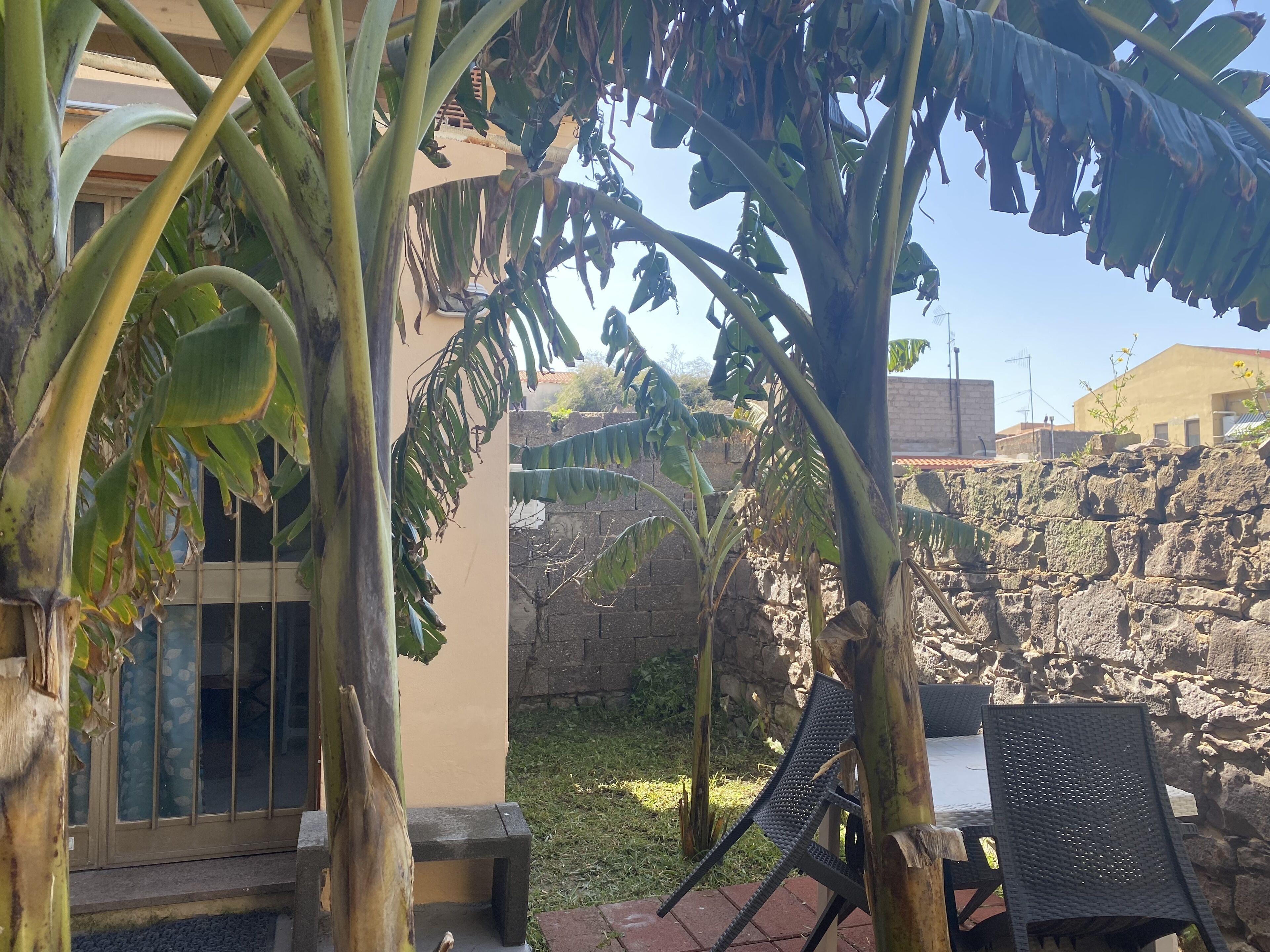 Concas Apartament