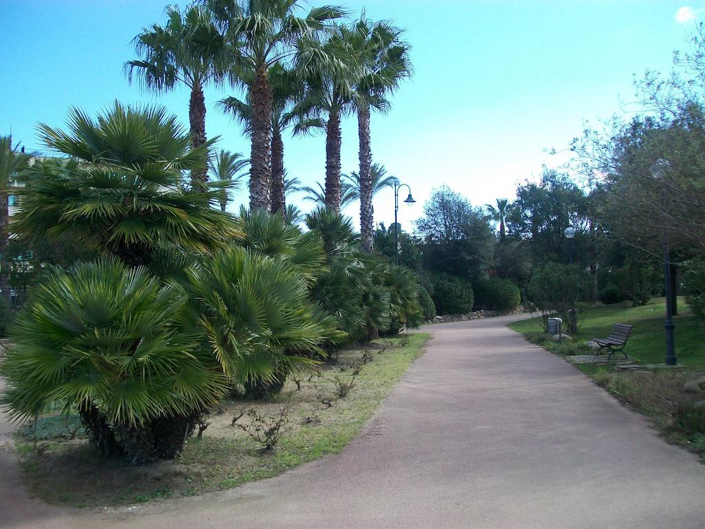 Terranova