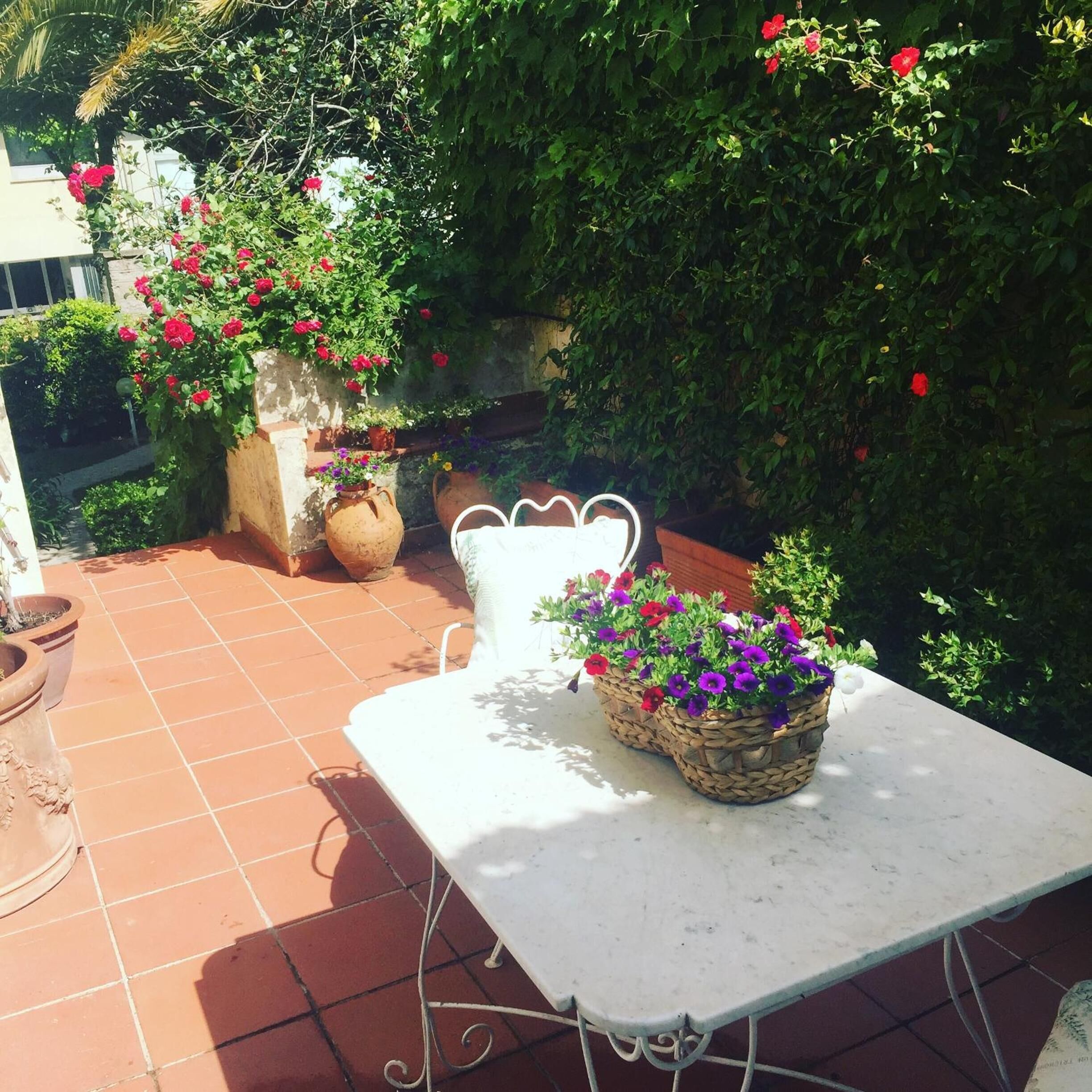 Calycanto Guest House