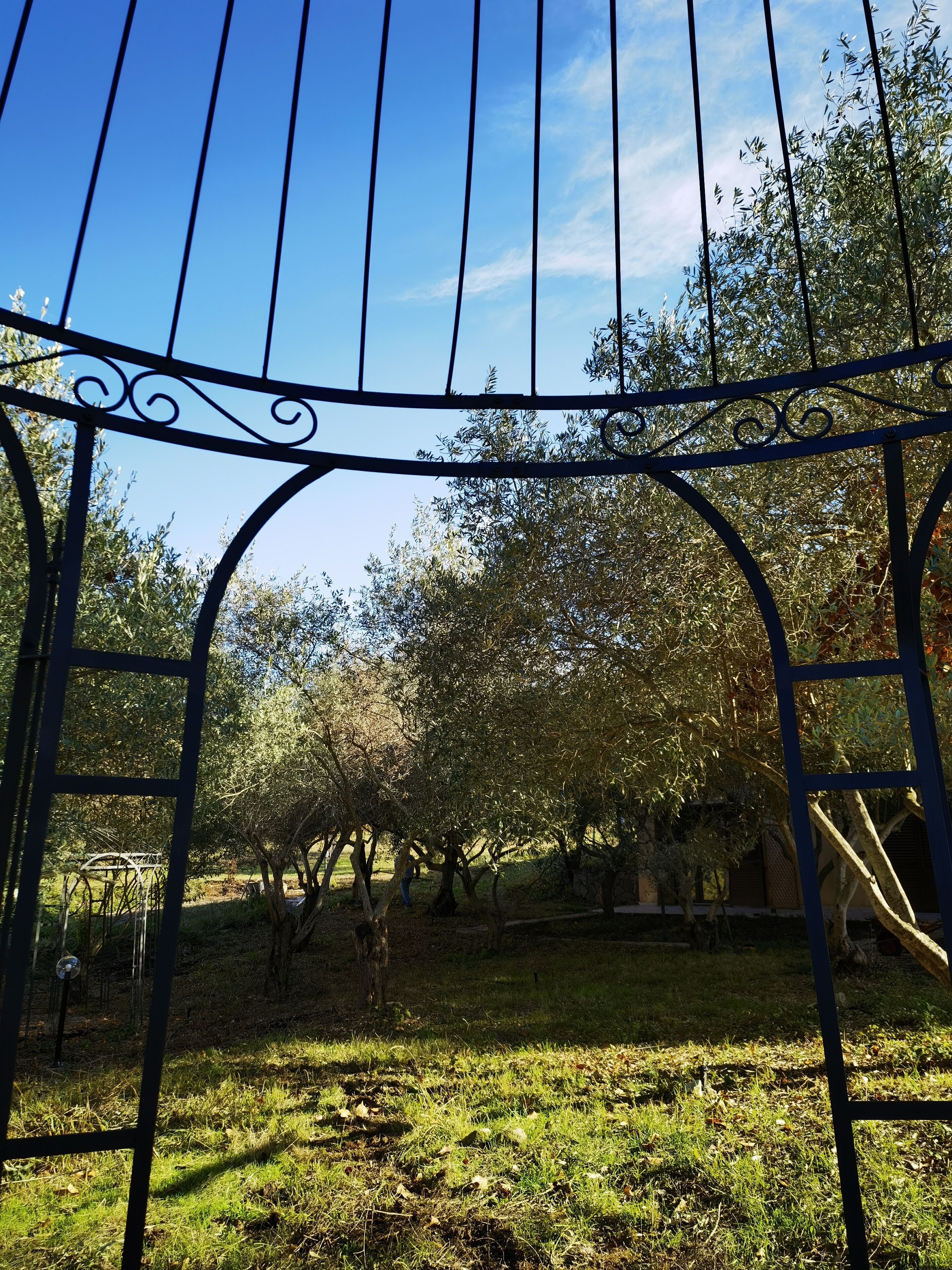 La Corte Degli Ulivi