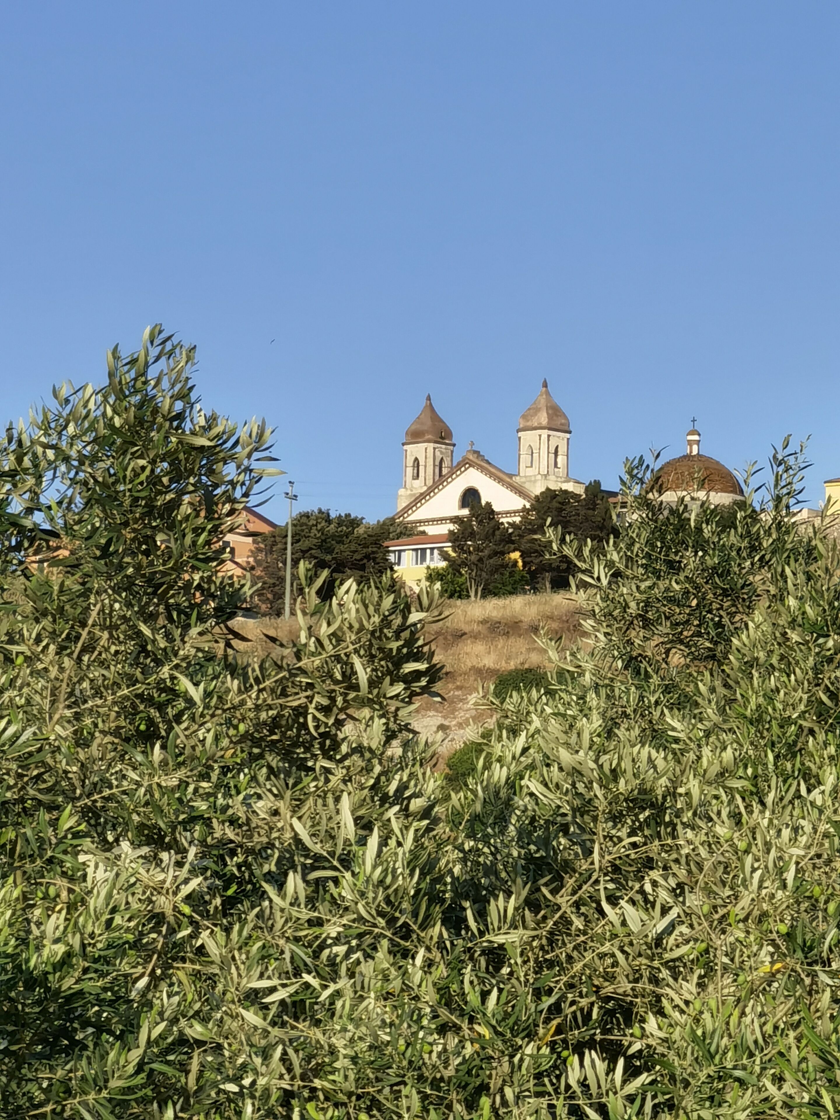 La Corte Degli Ulivi