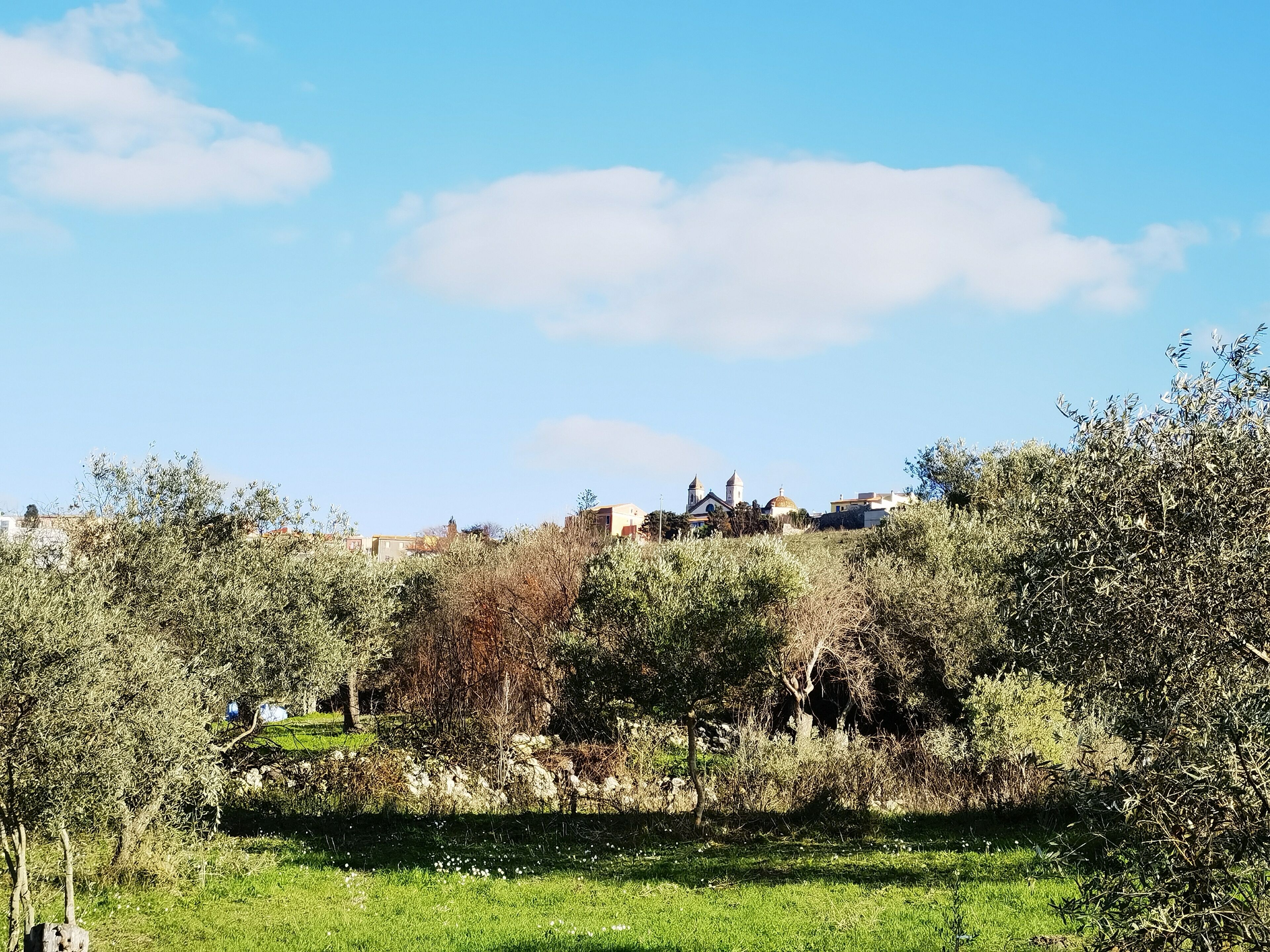 La Corte Degli Ulivi