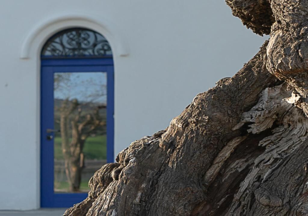 Albergo Rurale Casa Fois