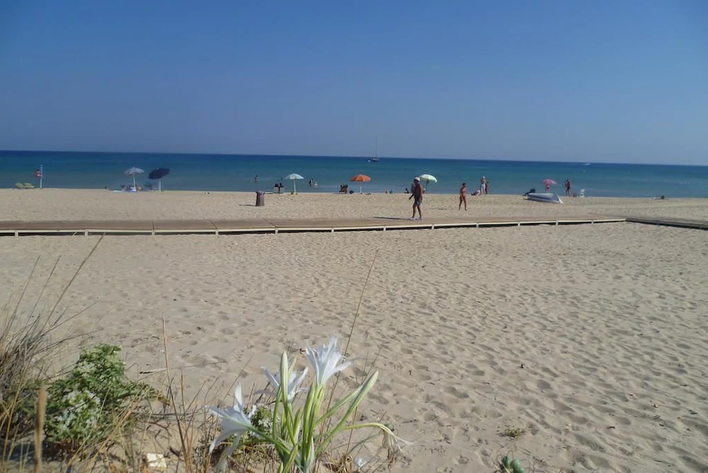 Case Vacanze Orchidea