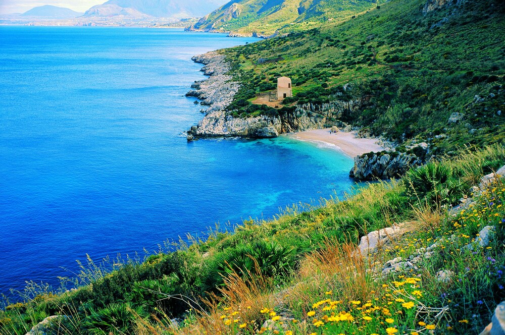Case Vacanze Orchidea