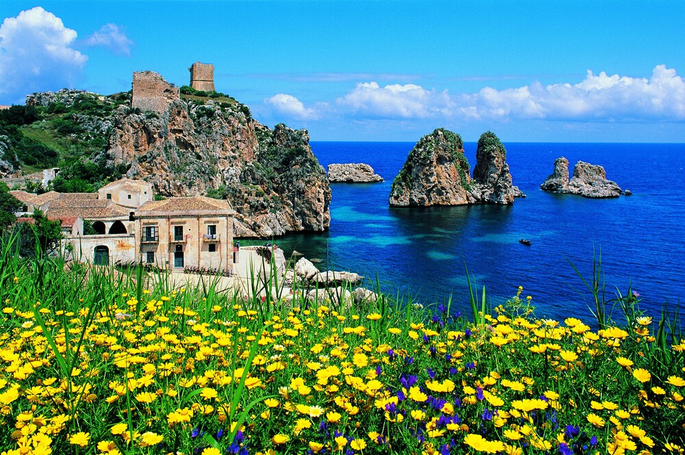 Case Vacanze Orchidea