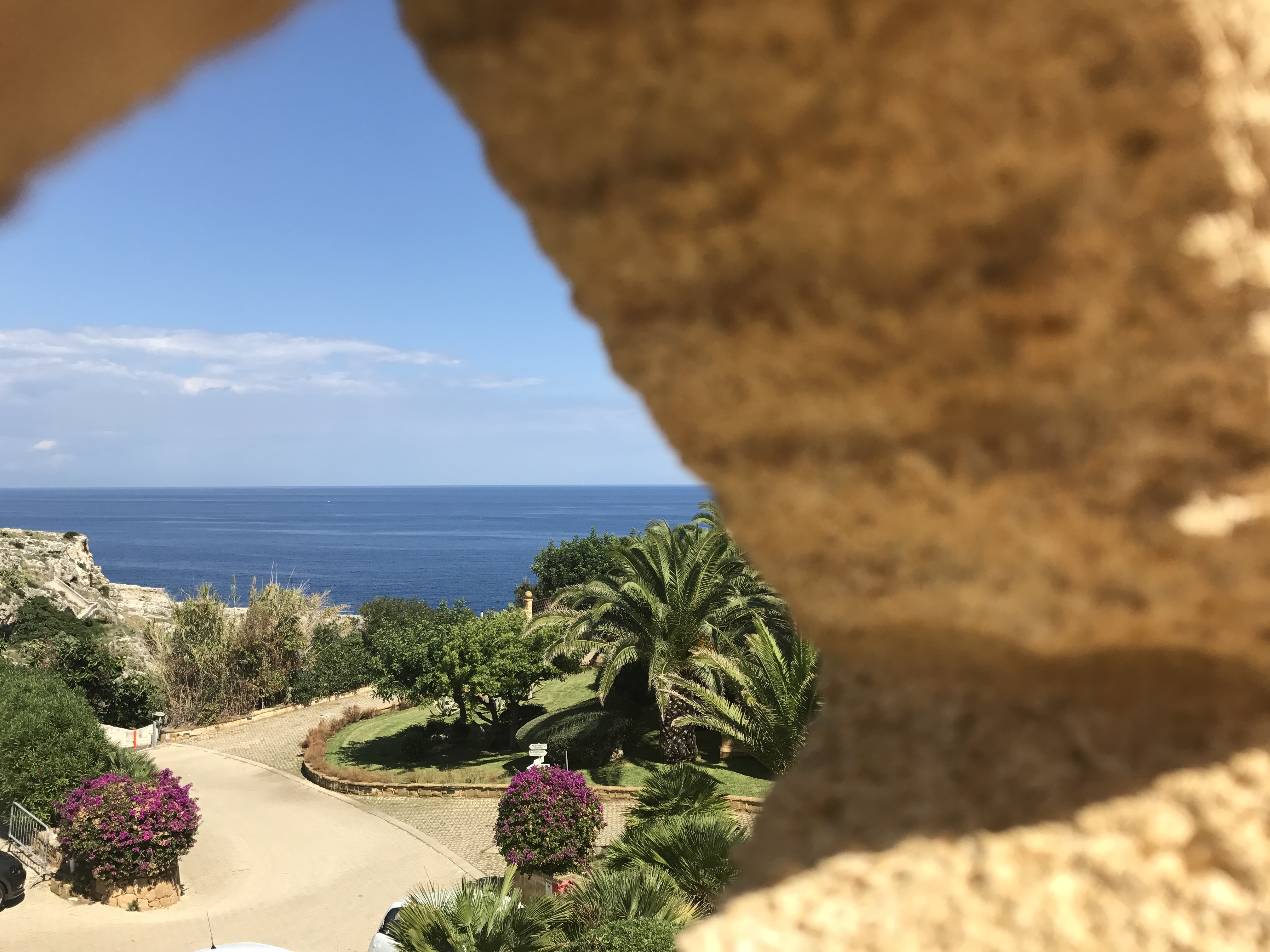 Venus Sea Garden