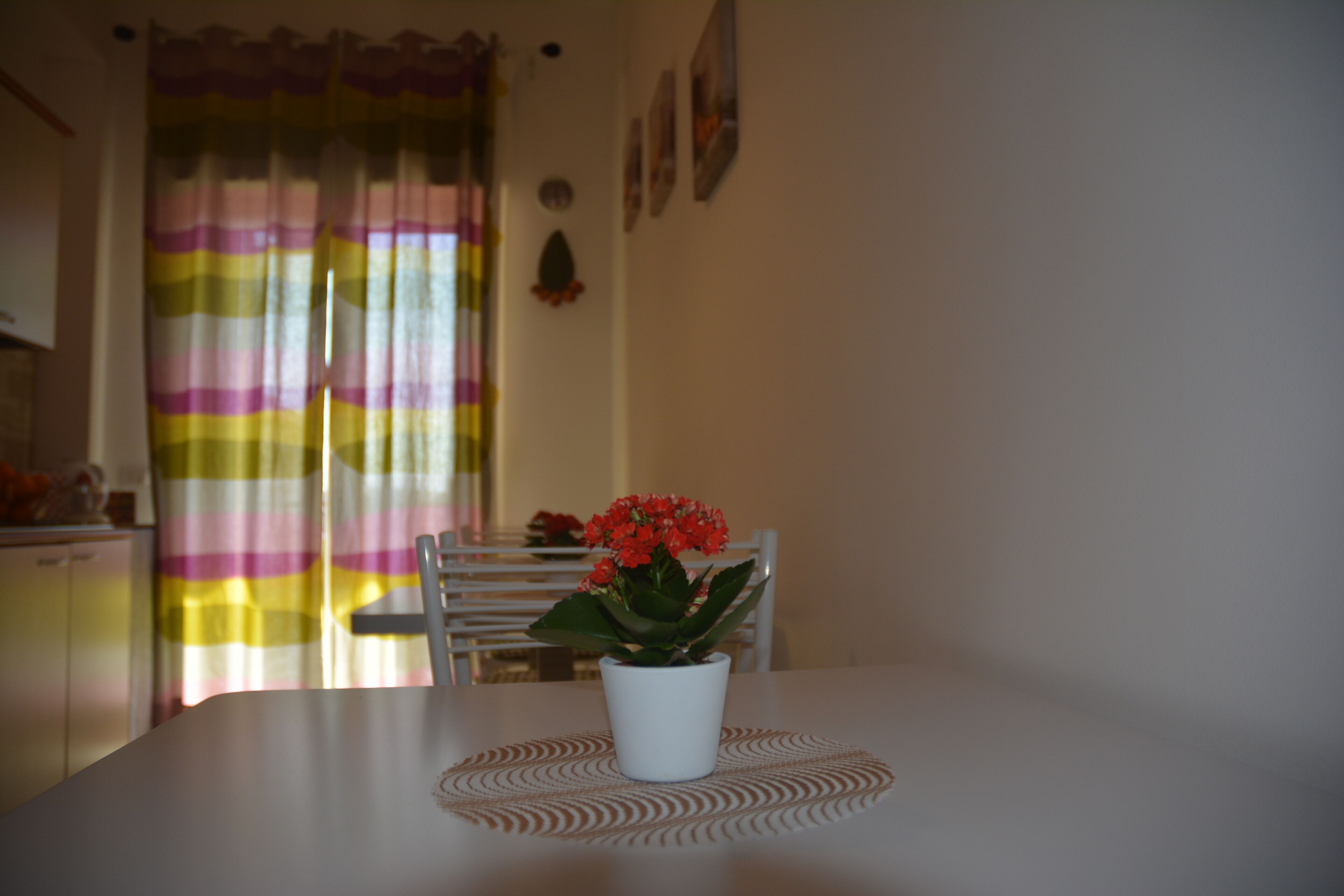 Art B&B