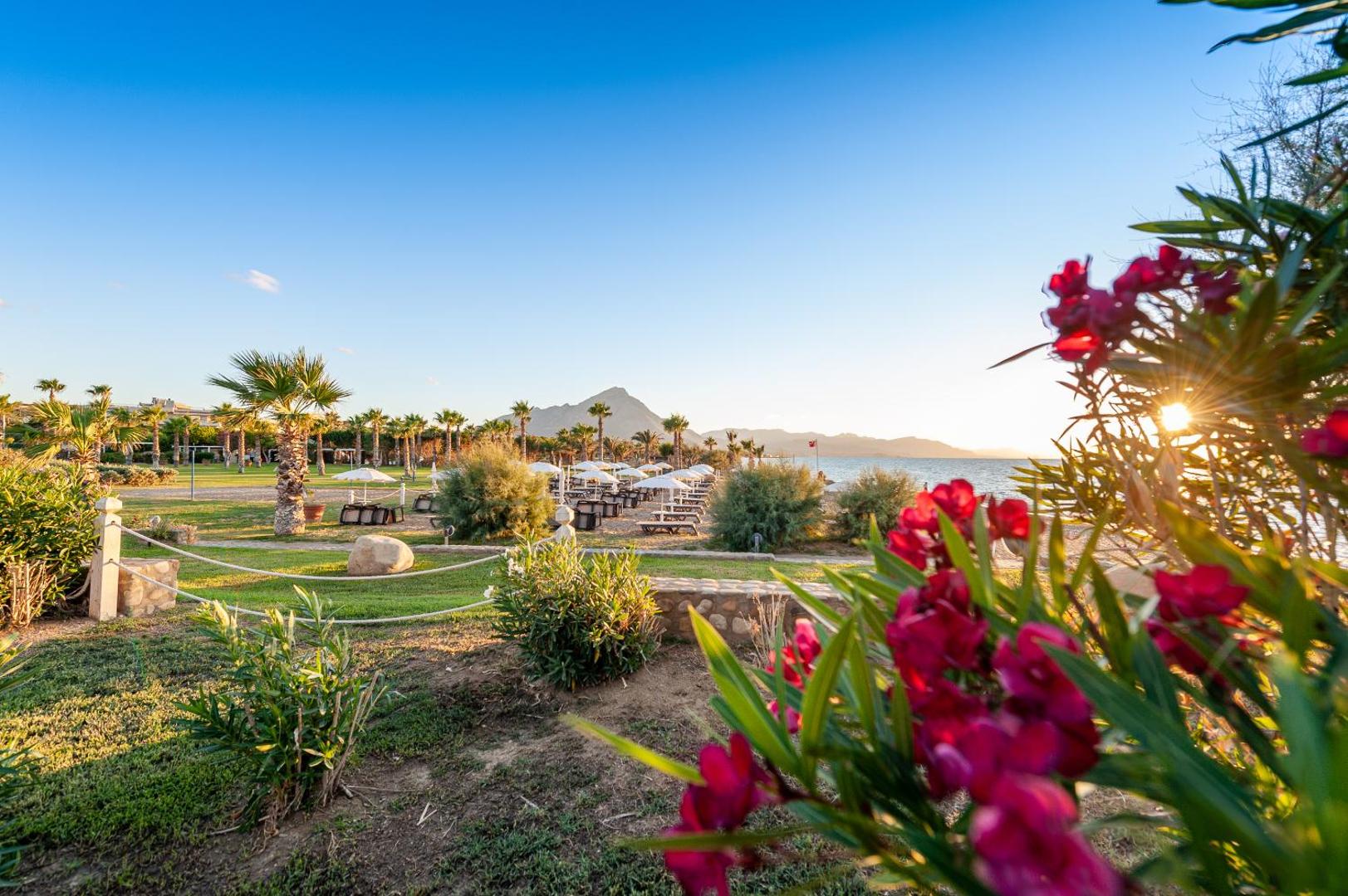Acacia Resort