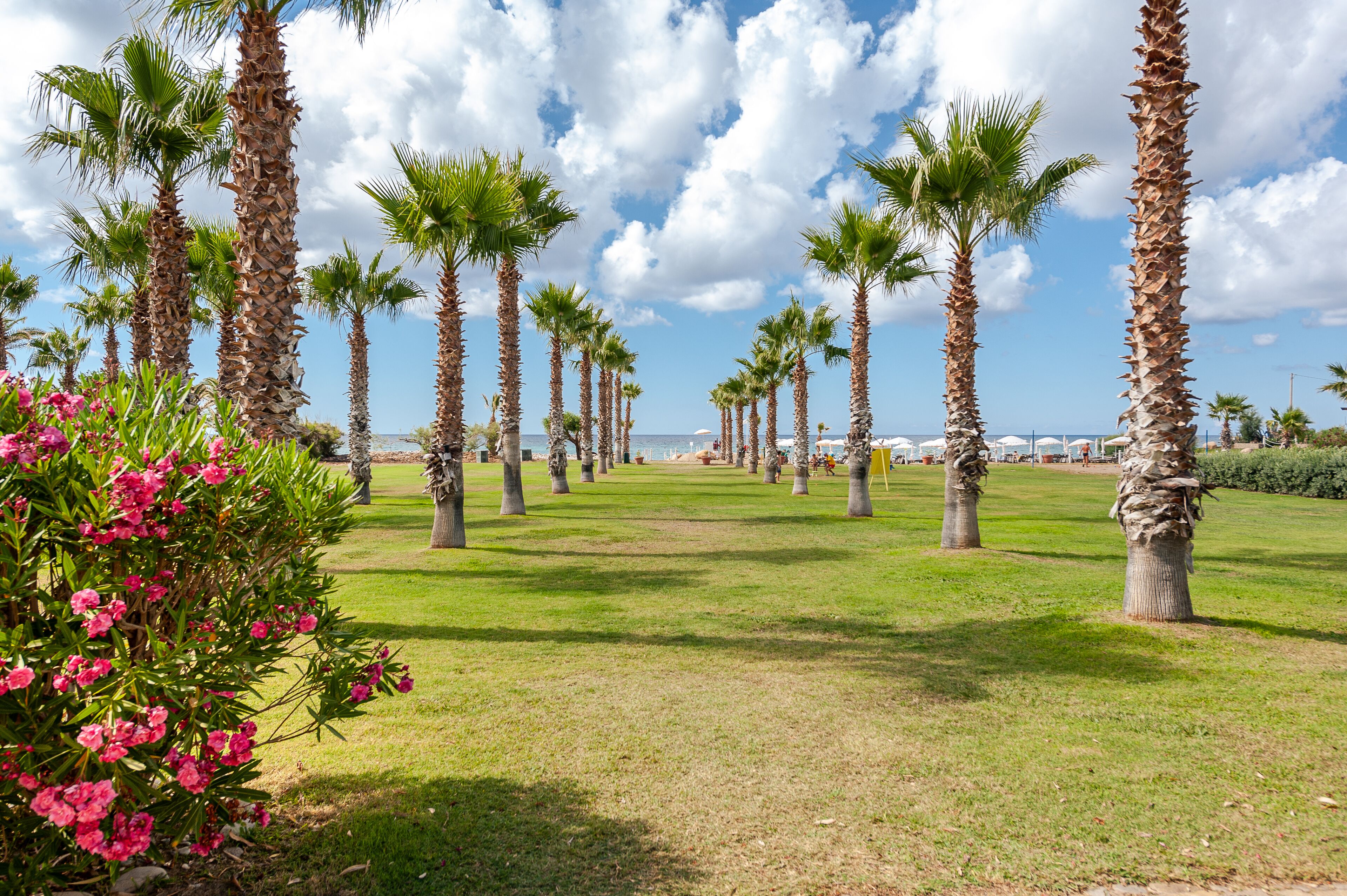 Acacia Resort