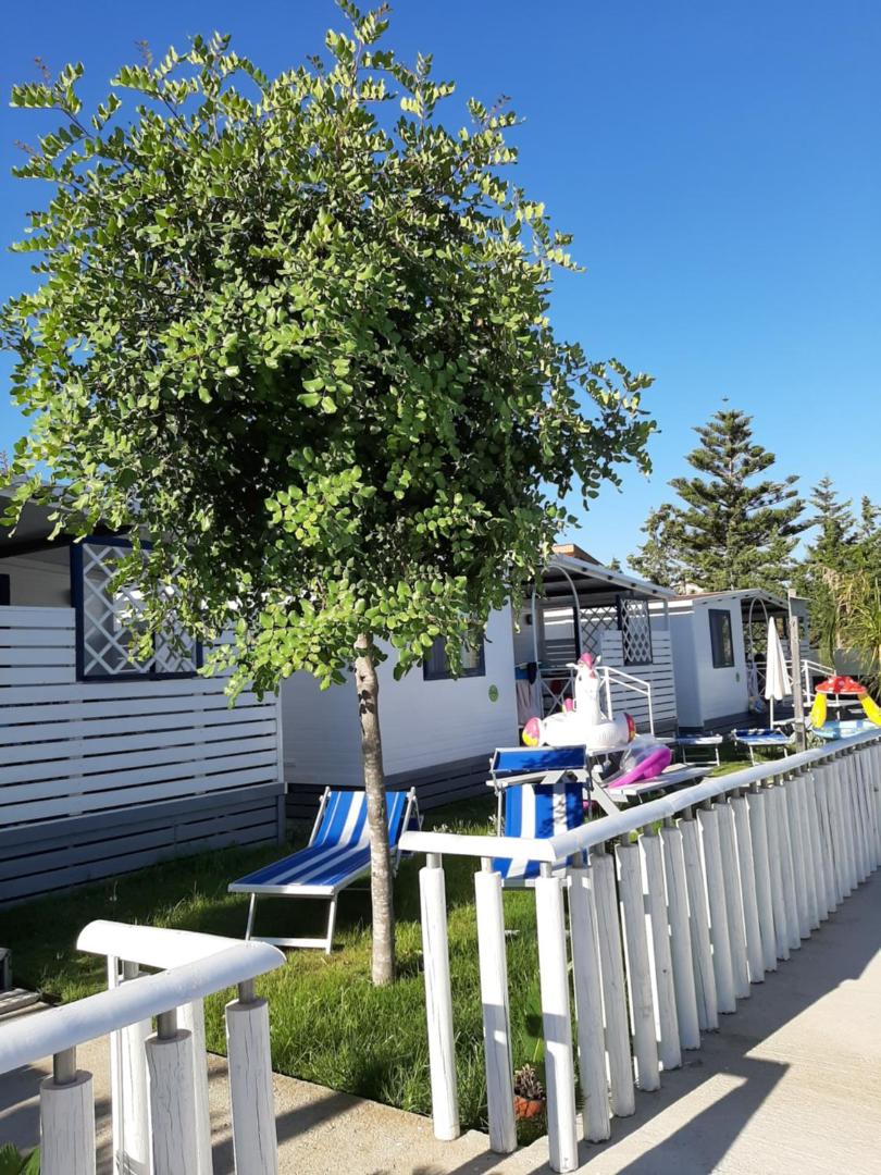 Campeggio Praia Mare