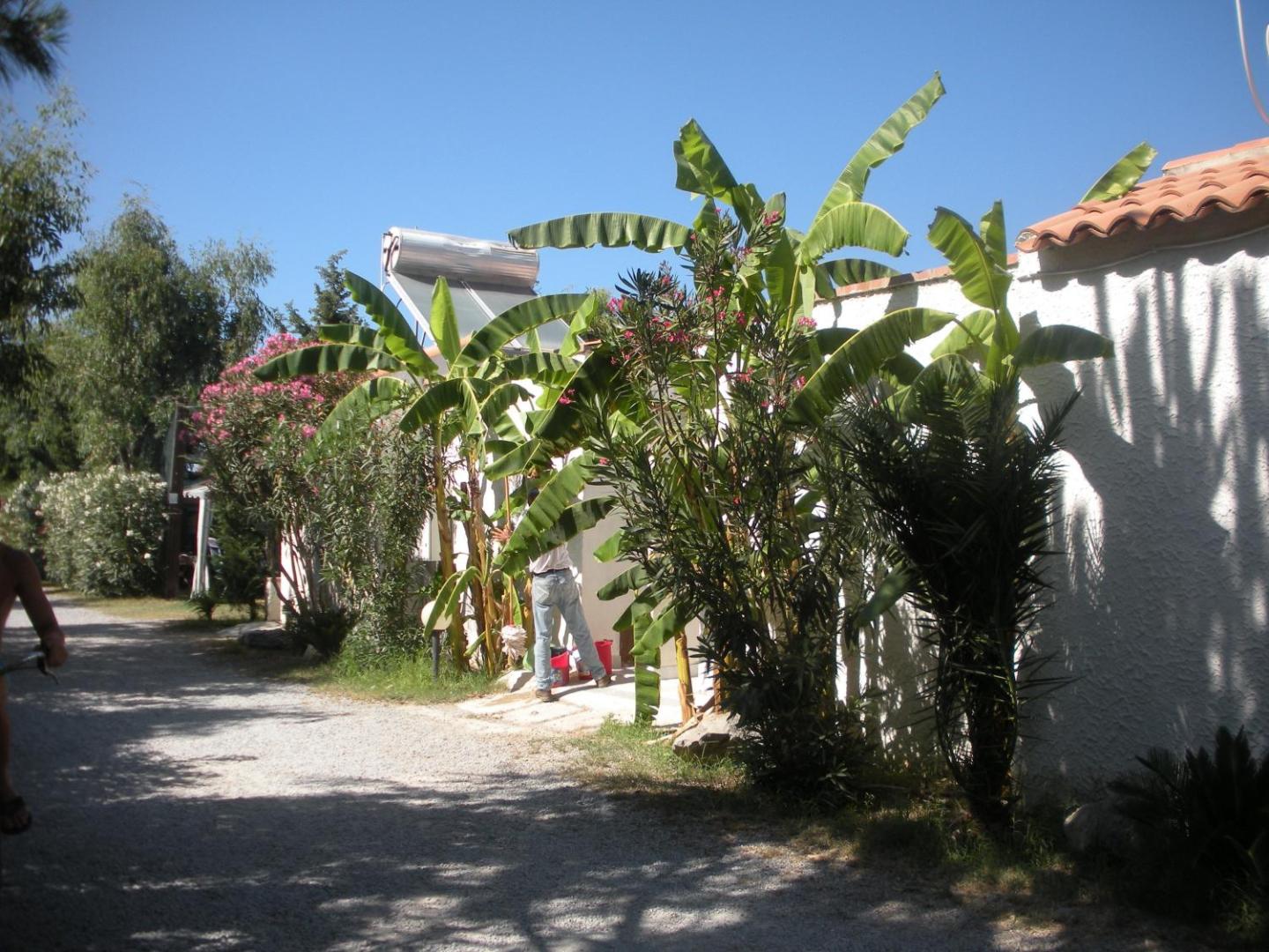 Campeggio Praia Mare