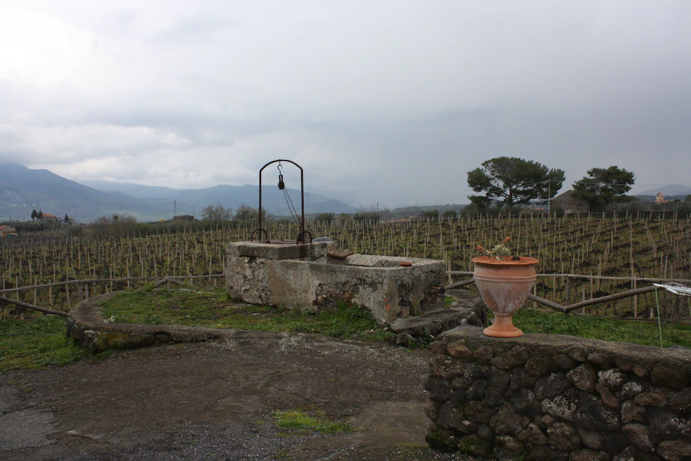 Etna Wine Agriturismo