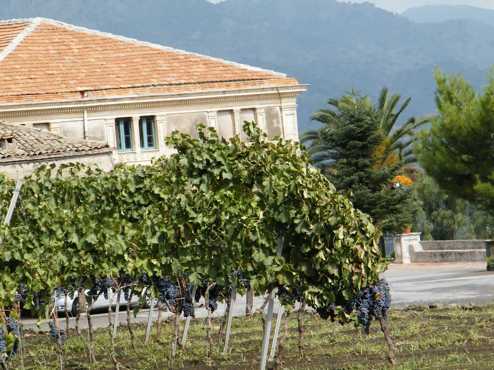 Etna Wine Agriturismo
