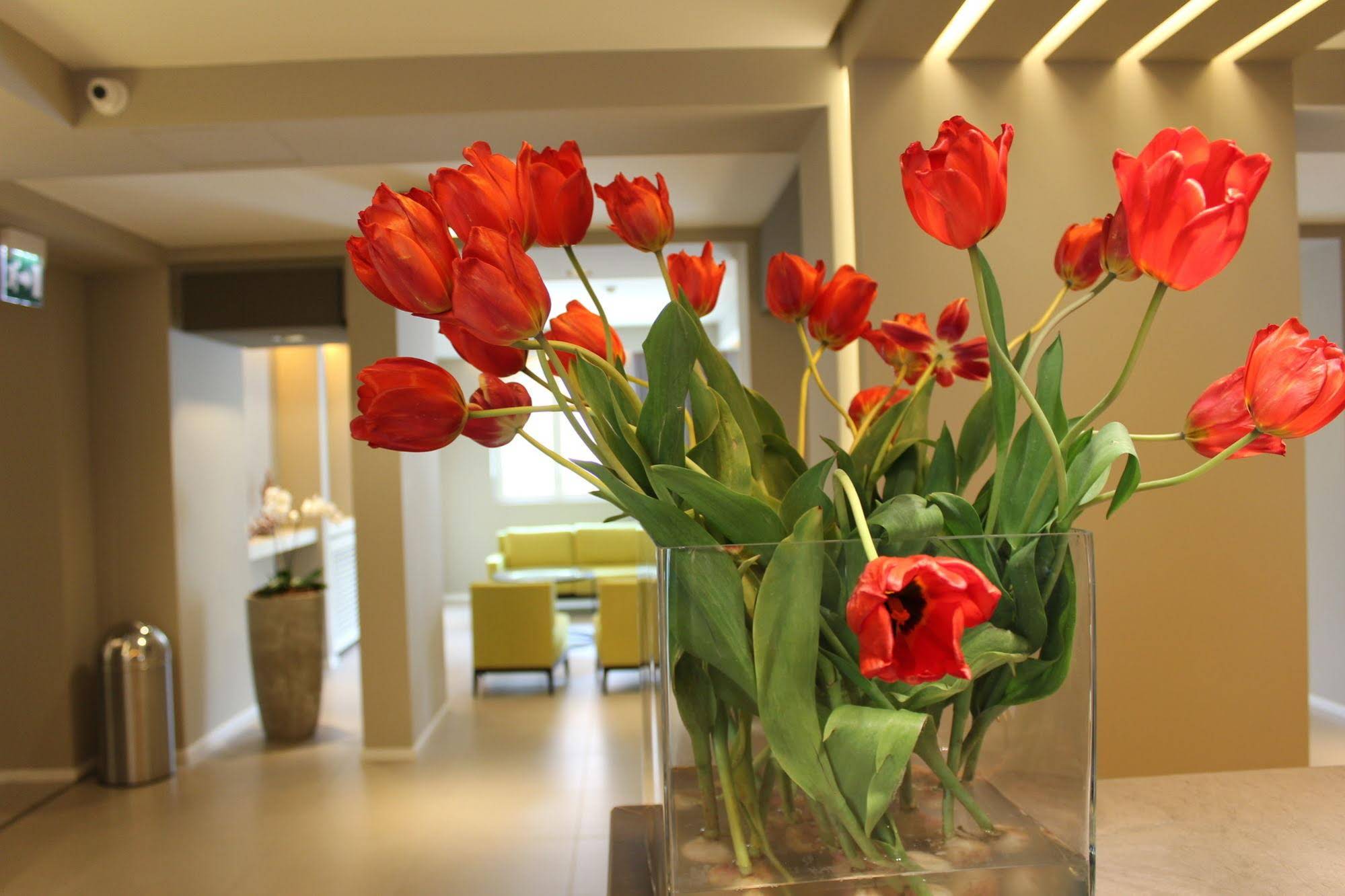 Airone City Hotel