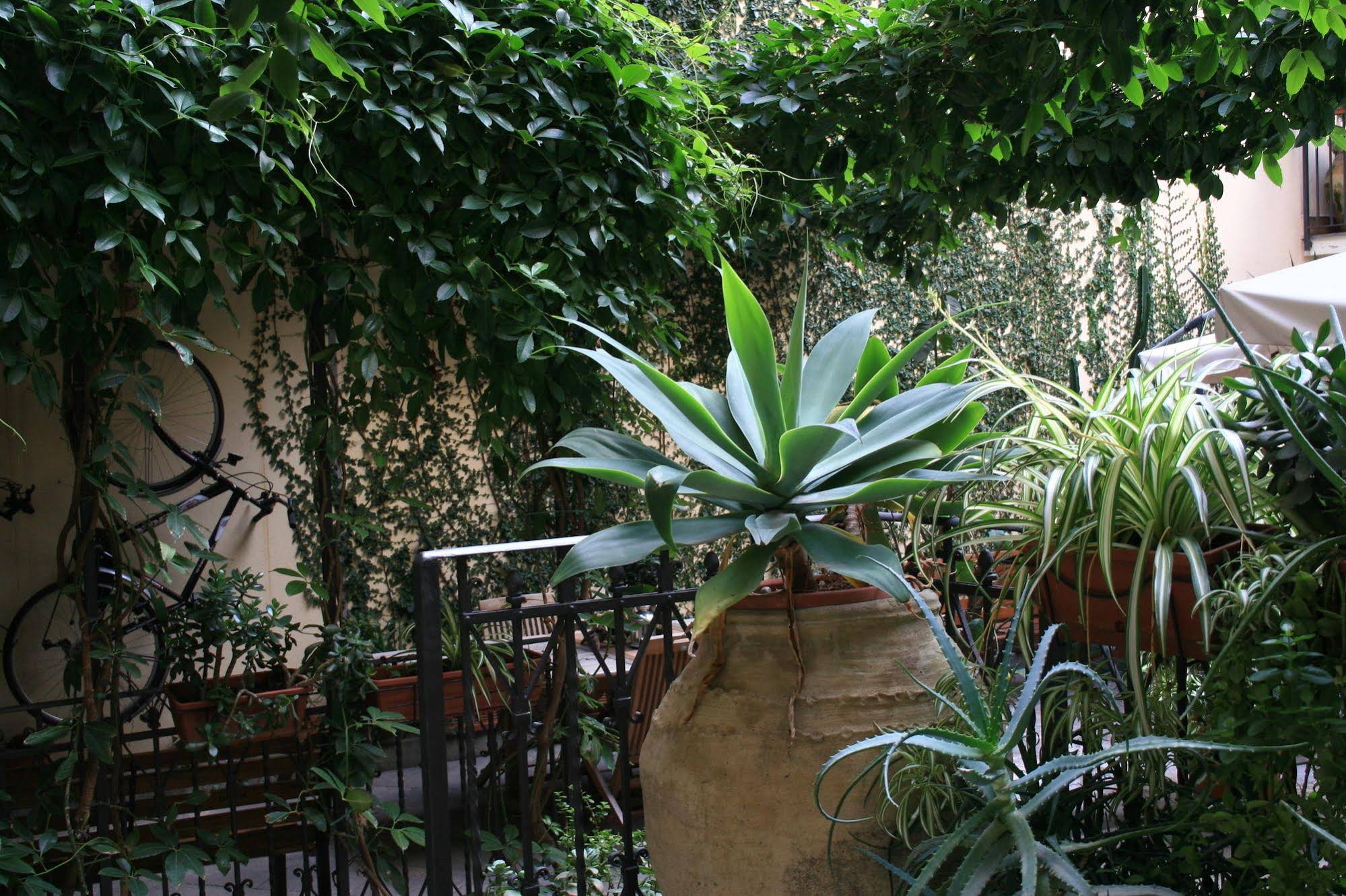 Casa Barbero B&B