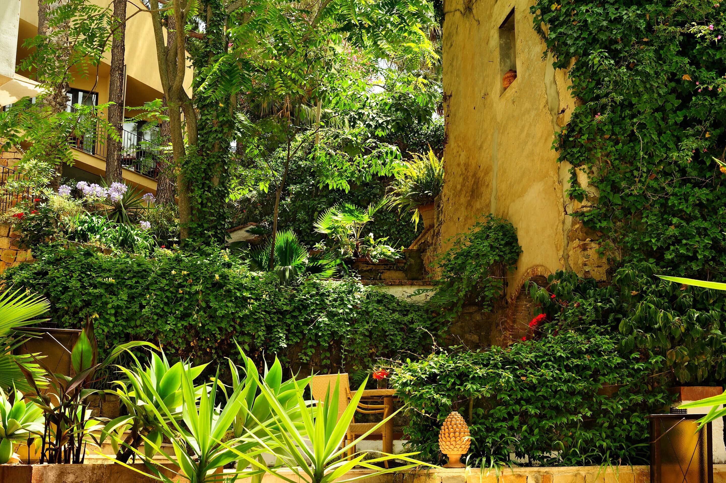 Alberi del Paradiso