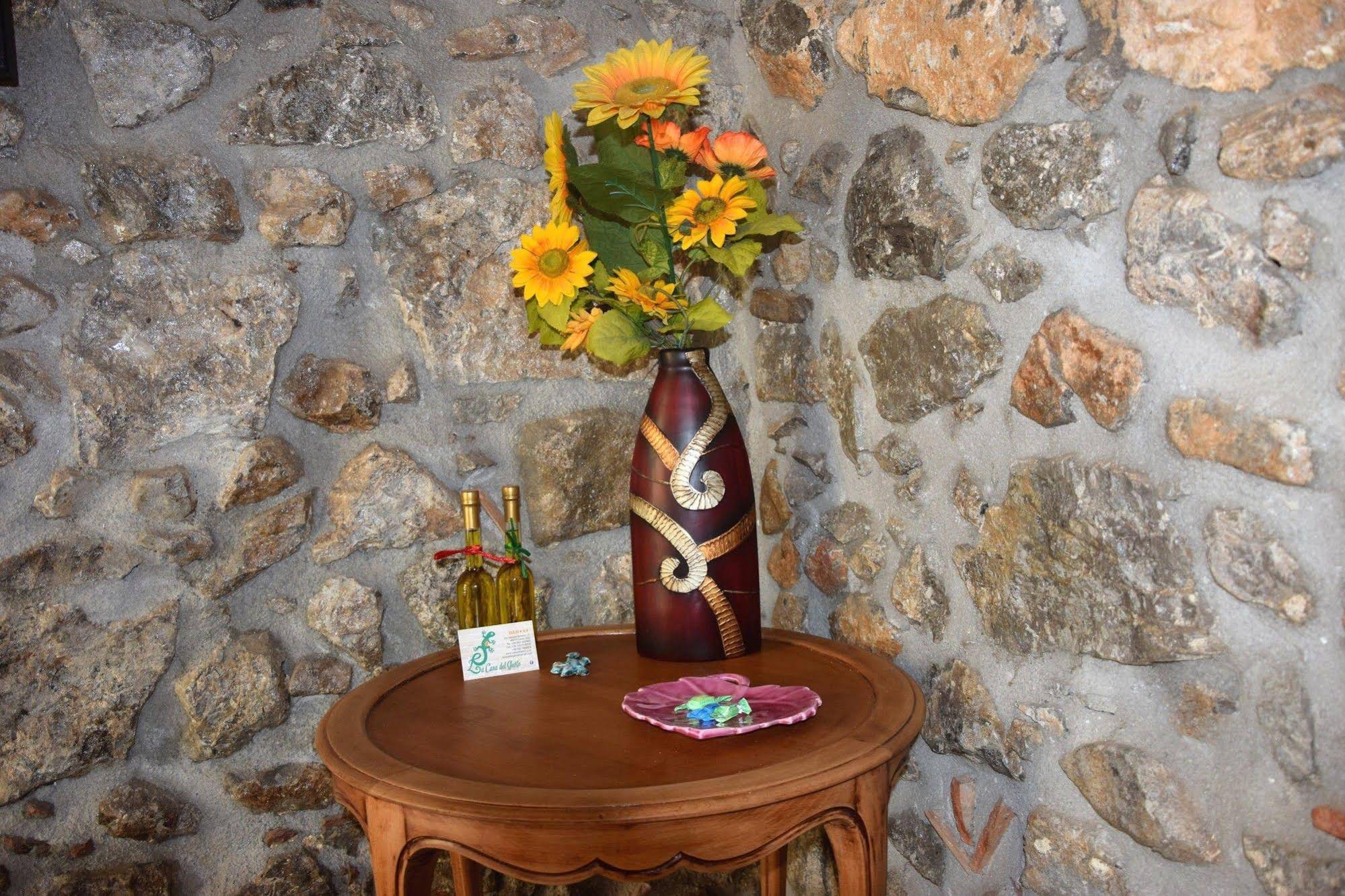 La Casa Del Geko
