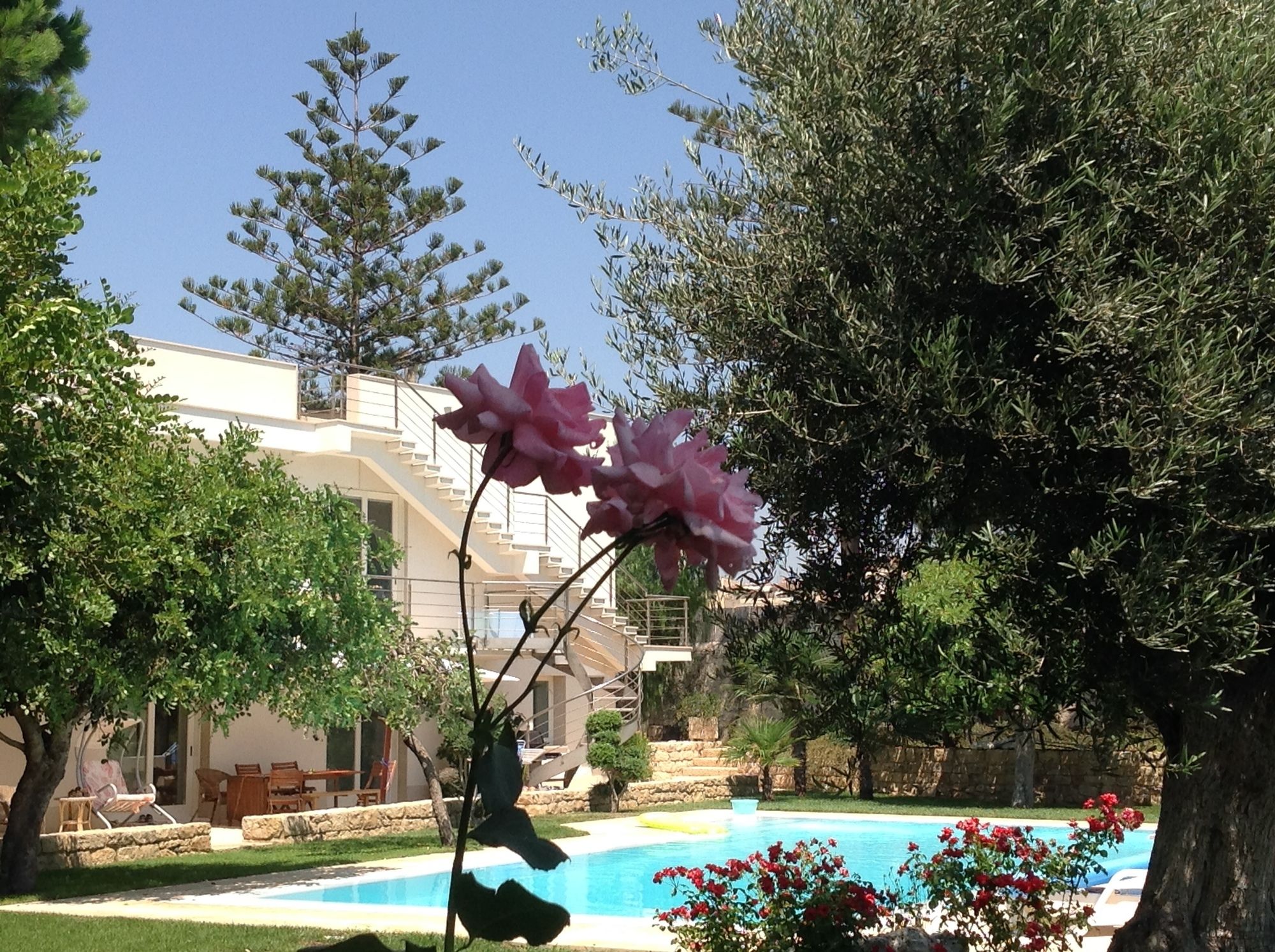 Il Giardino Dei Carrubi