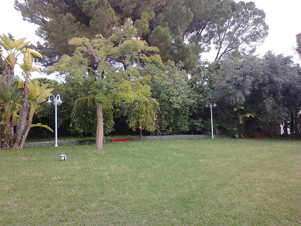 Calliope Apartments
