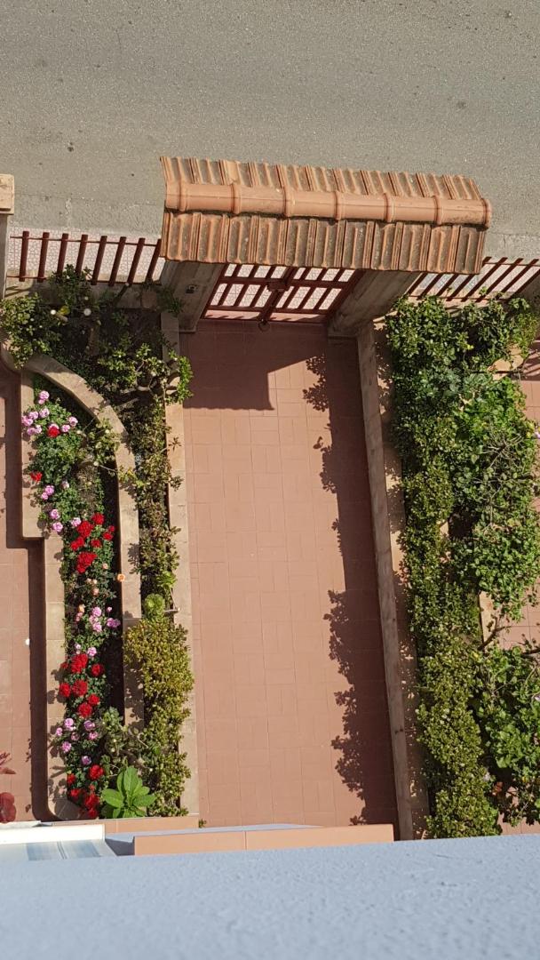 Mimosa Bed and Breakfast