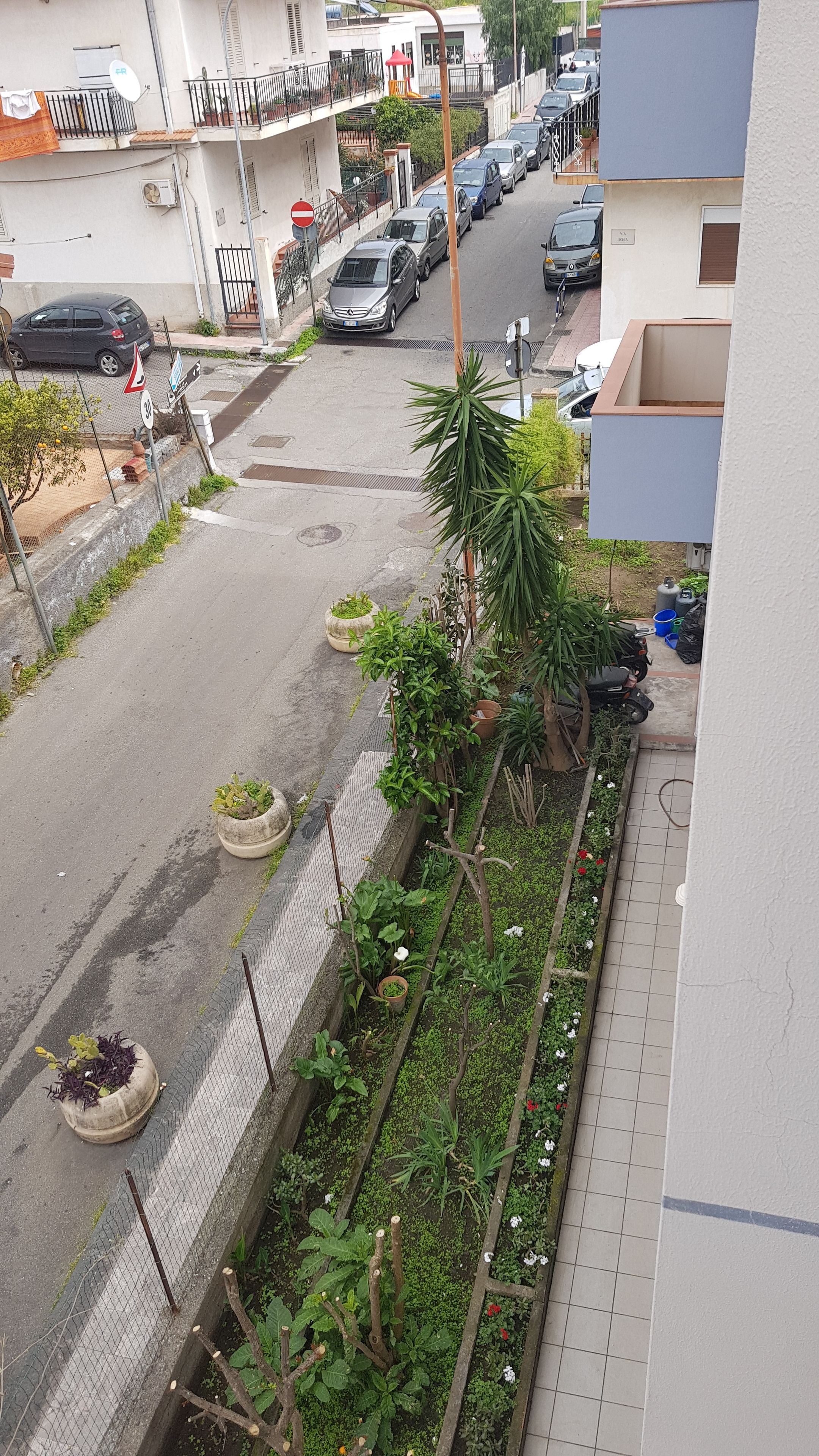 Mimosa Bed and Breakfast