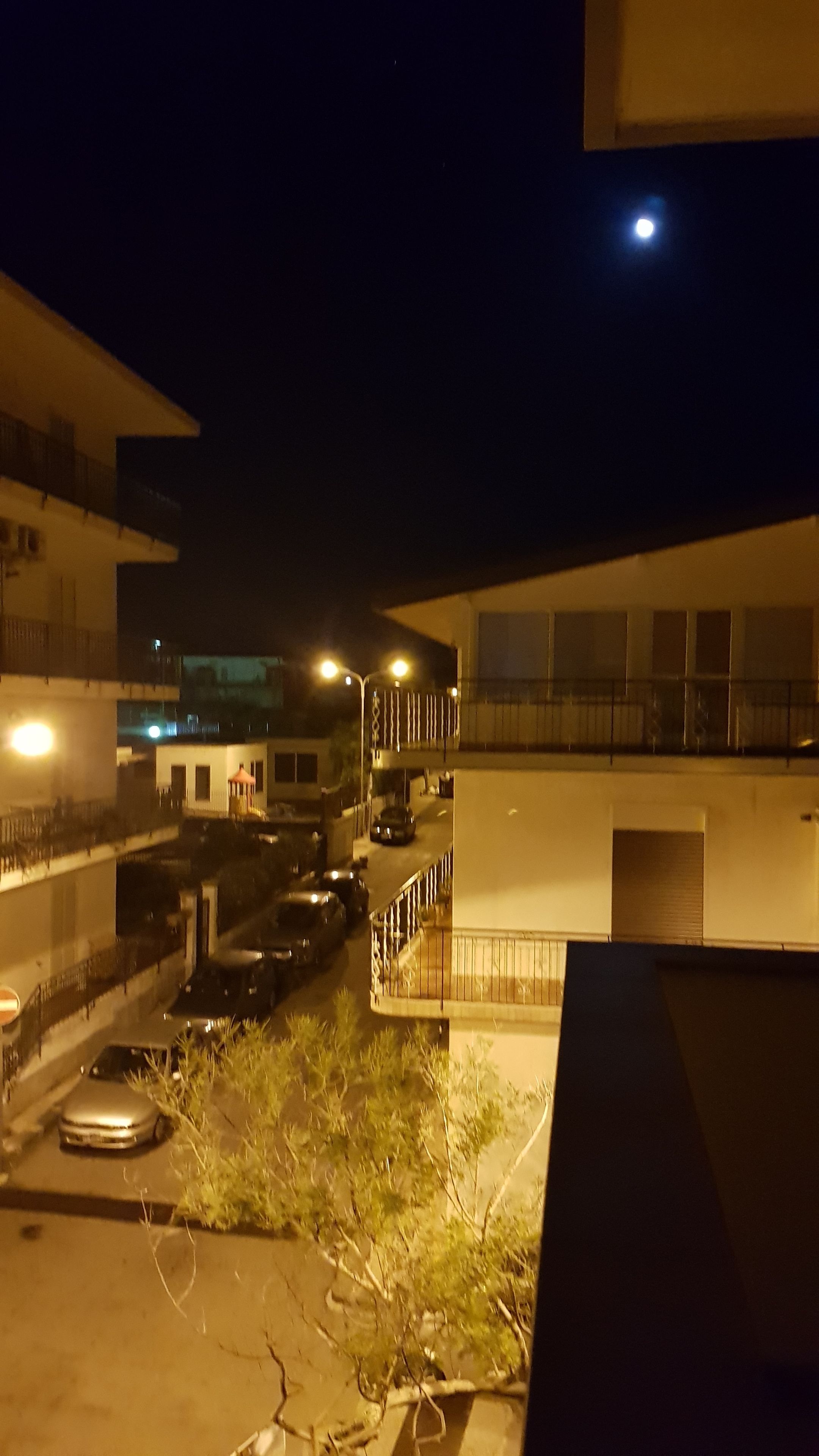 Mimosa Bed and Breakfast