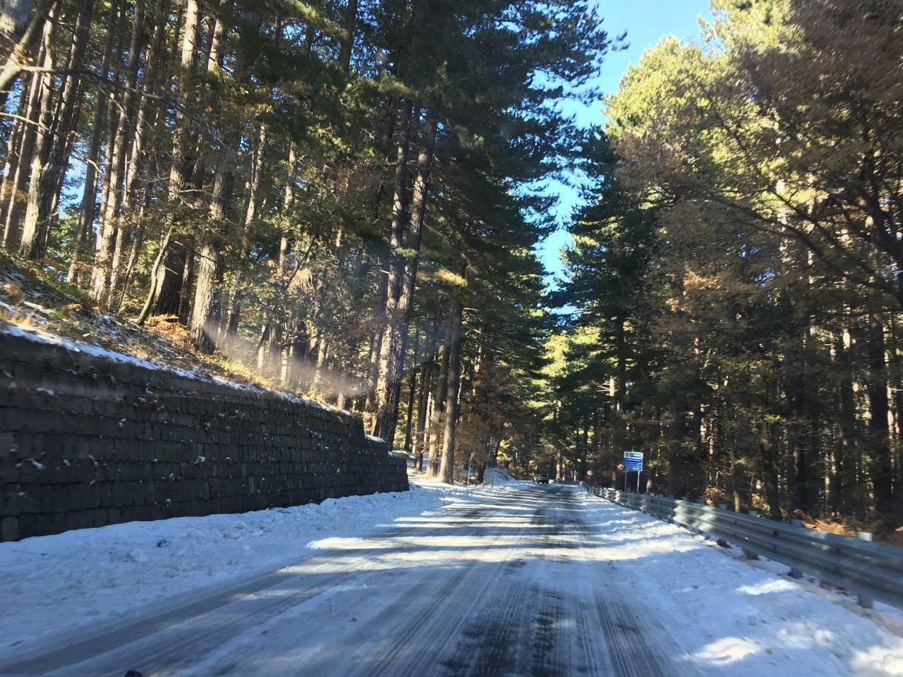 Mimosa Bed and Breakfast