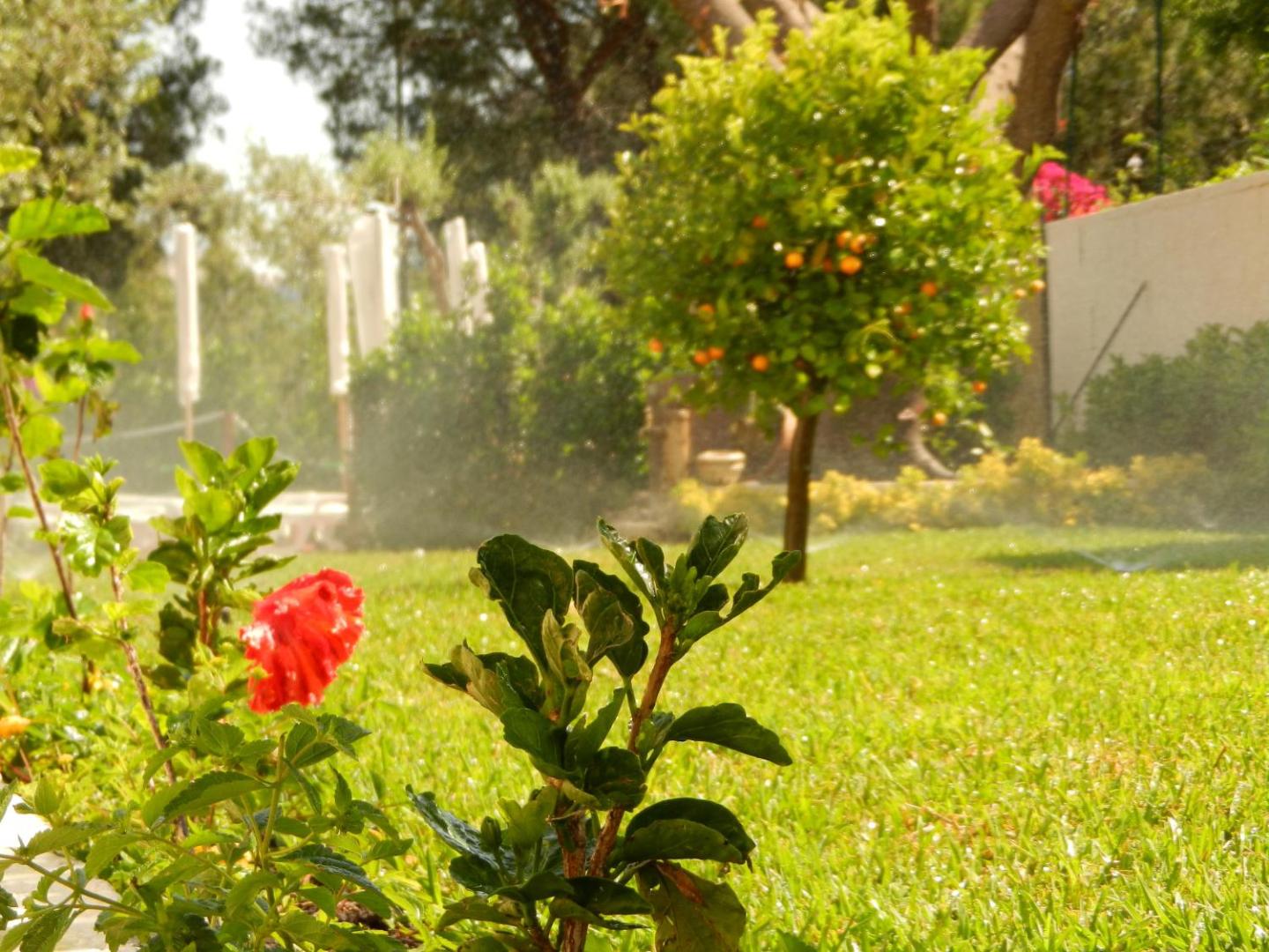 Residence Villa Collina