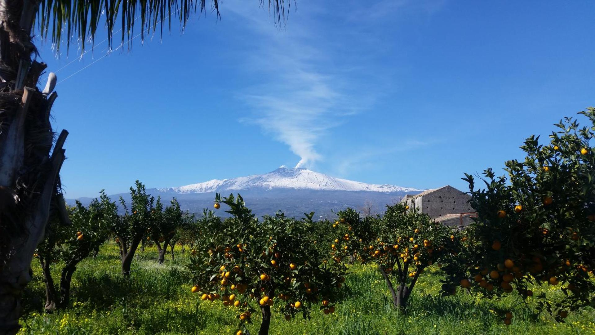 Villa Laura Apartment