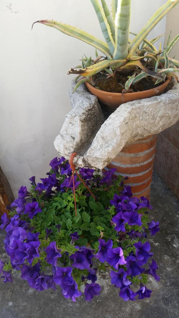 Villa Laura Apartment