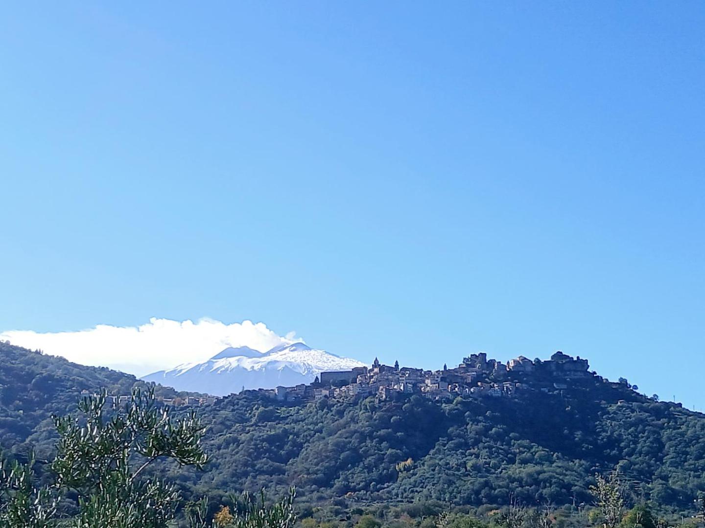 Villa Laura Apartment