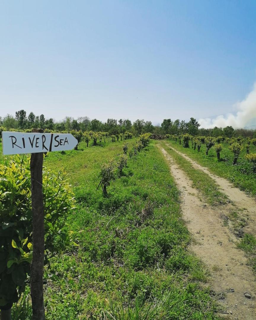 Villa Laura Apartment