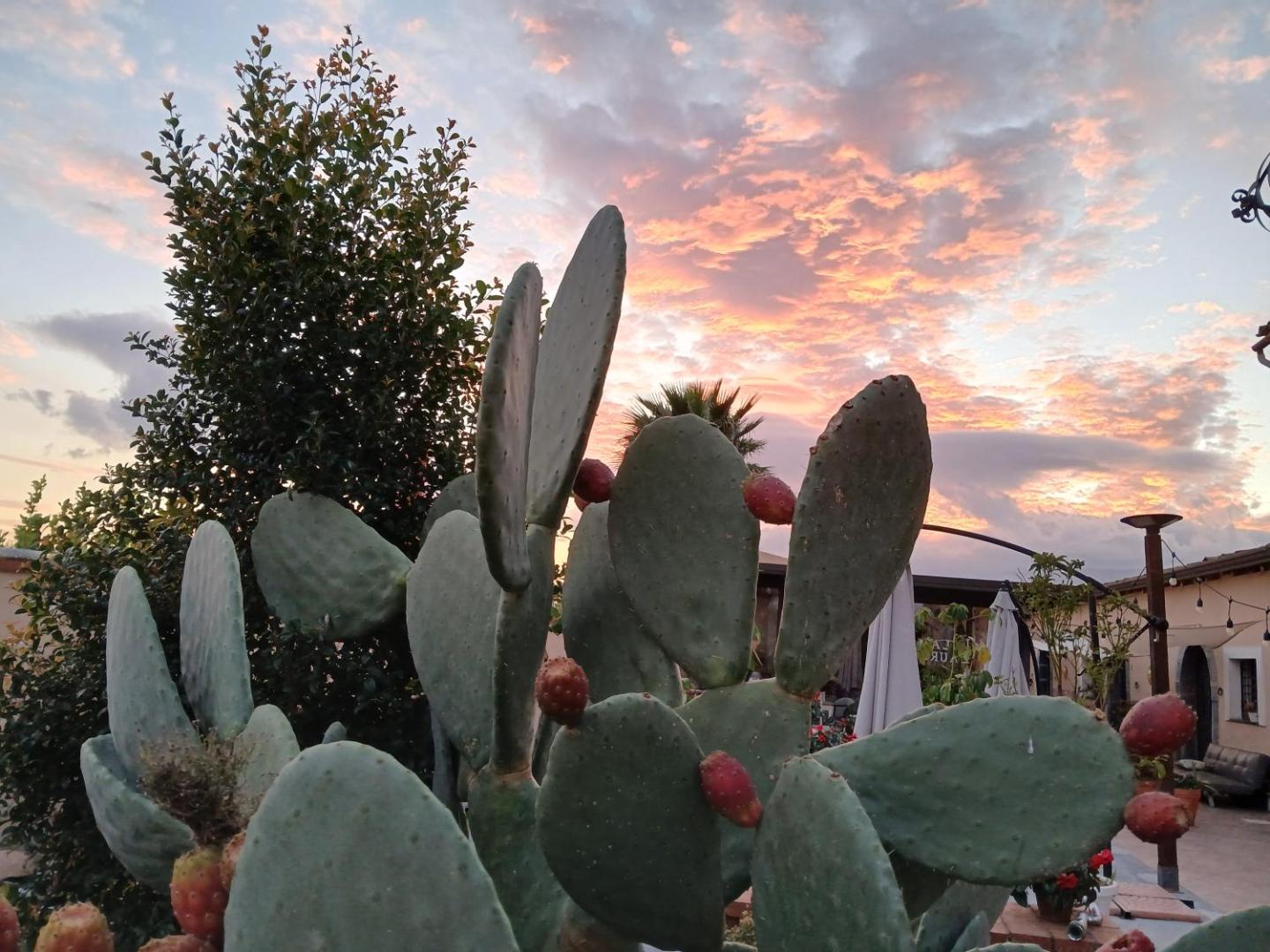 Villa Laura Apartment