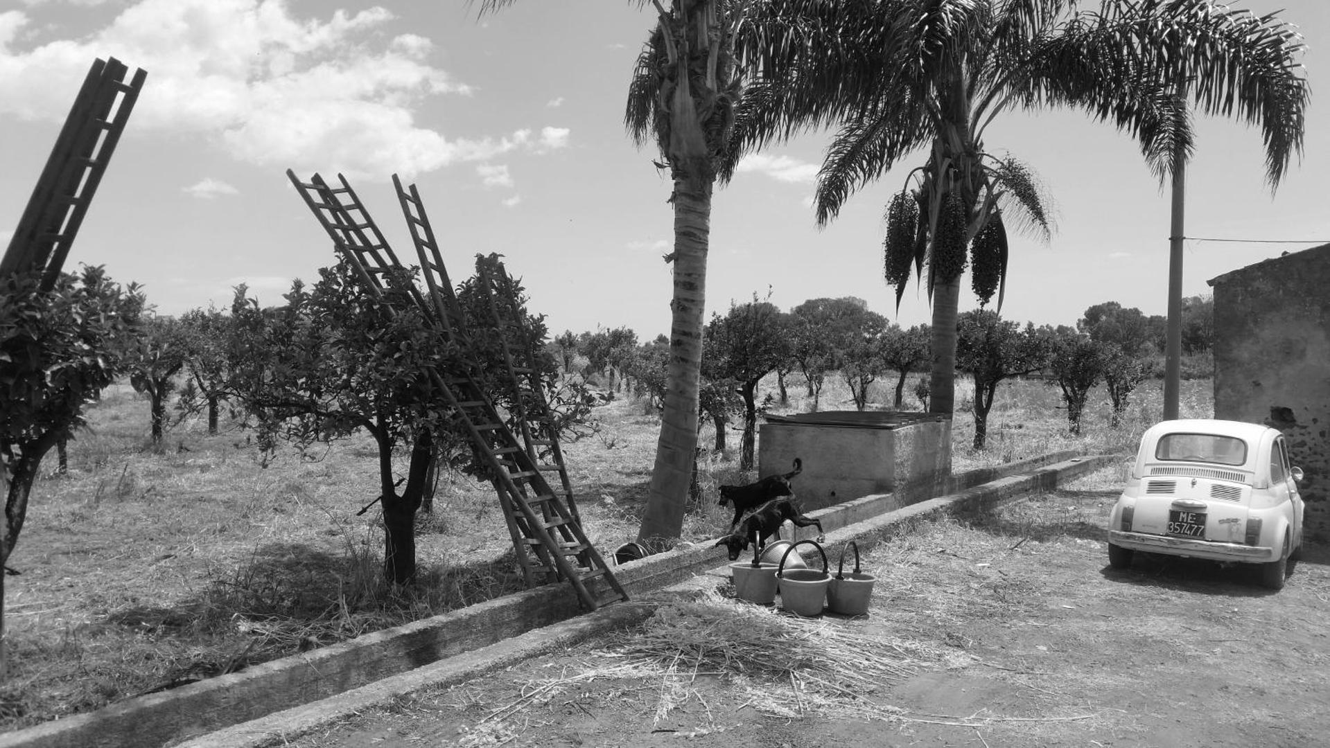 Villa Laura Apartment