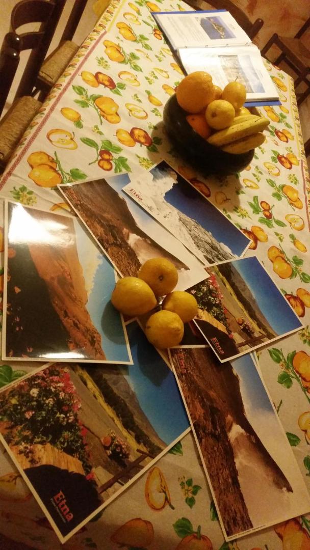 Villa Laura Apartment