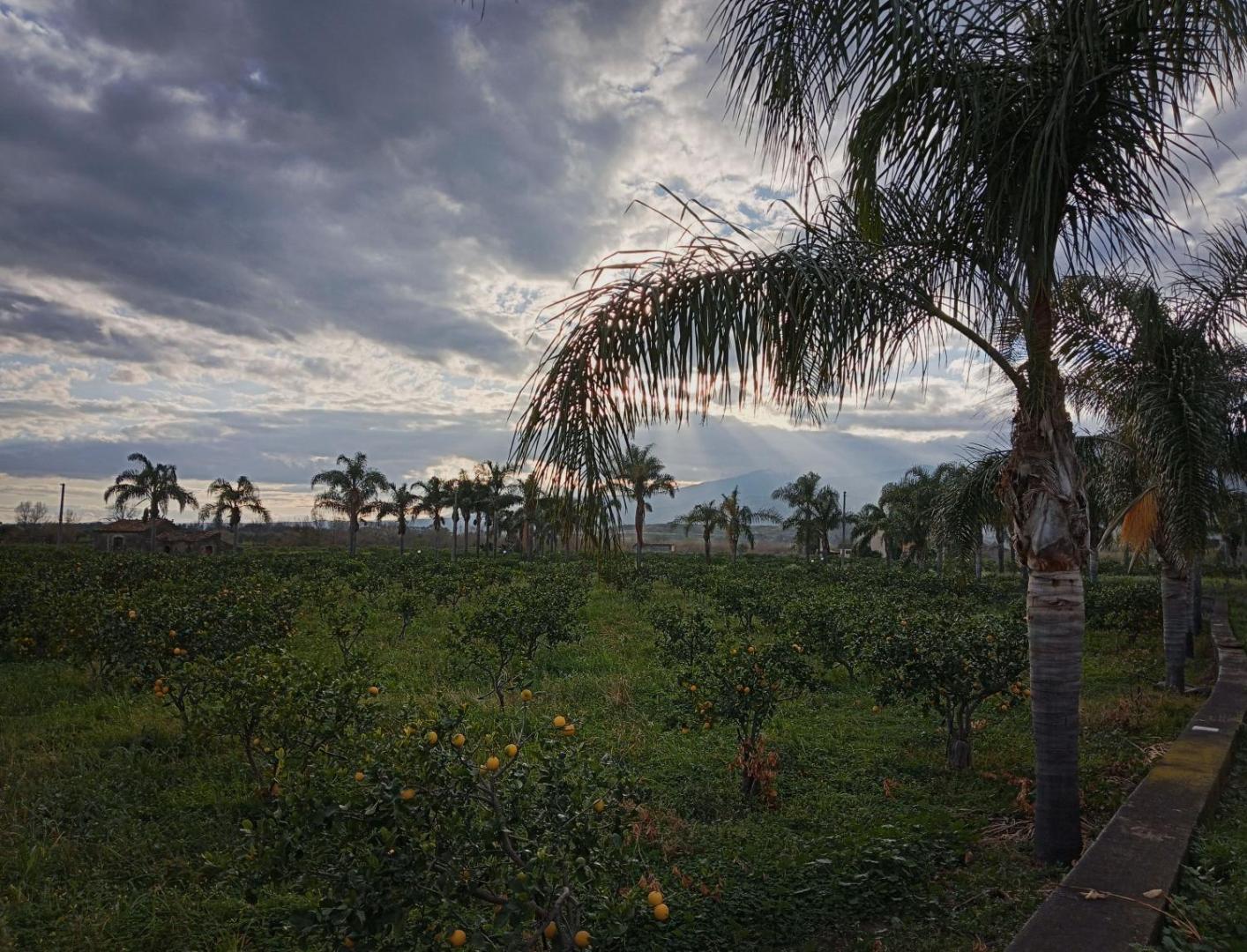 Villa Laura Apartment